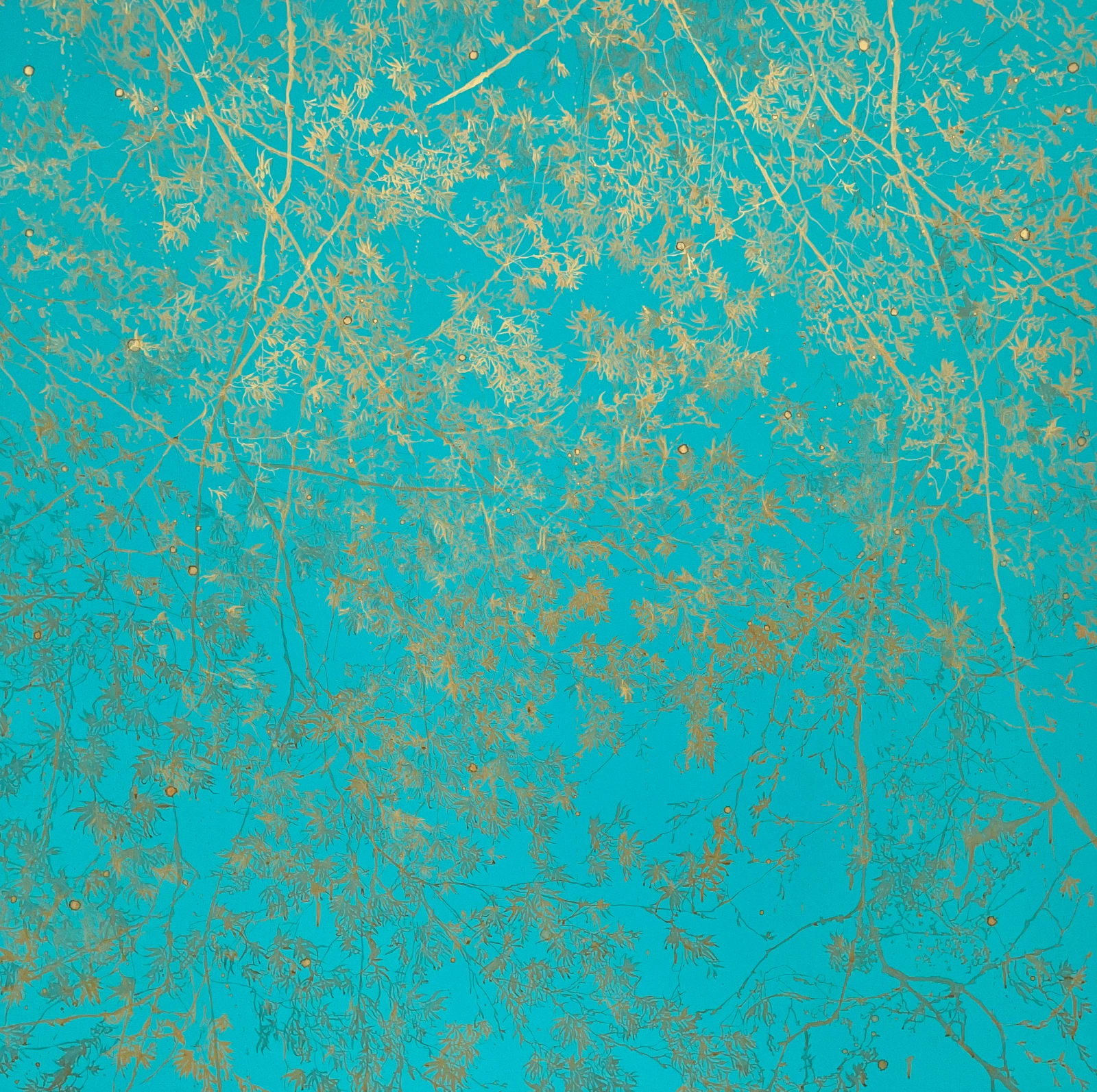 Sue Arrowsmith, Sea Glow, 2023