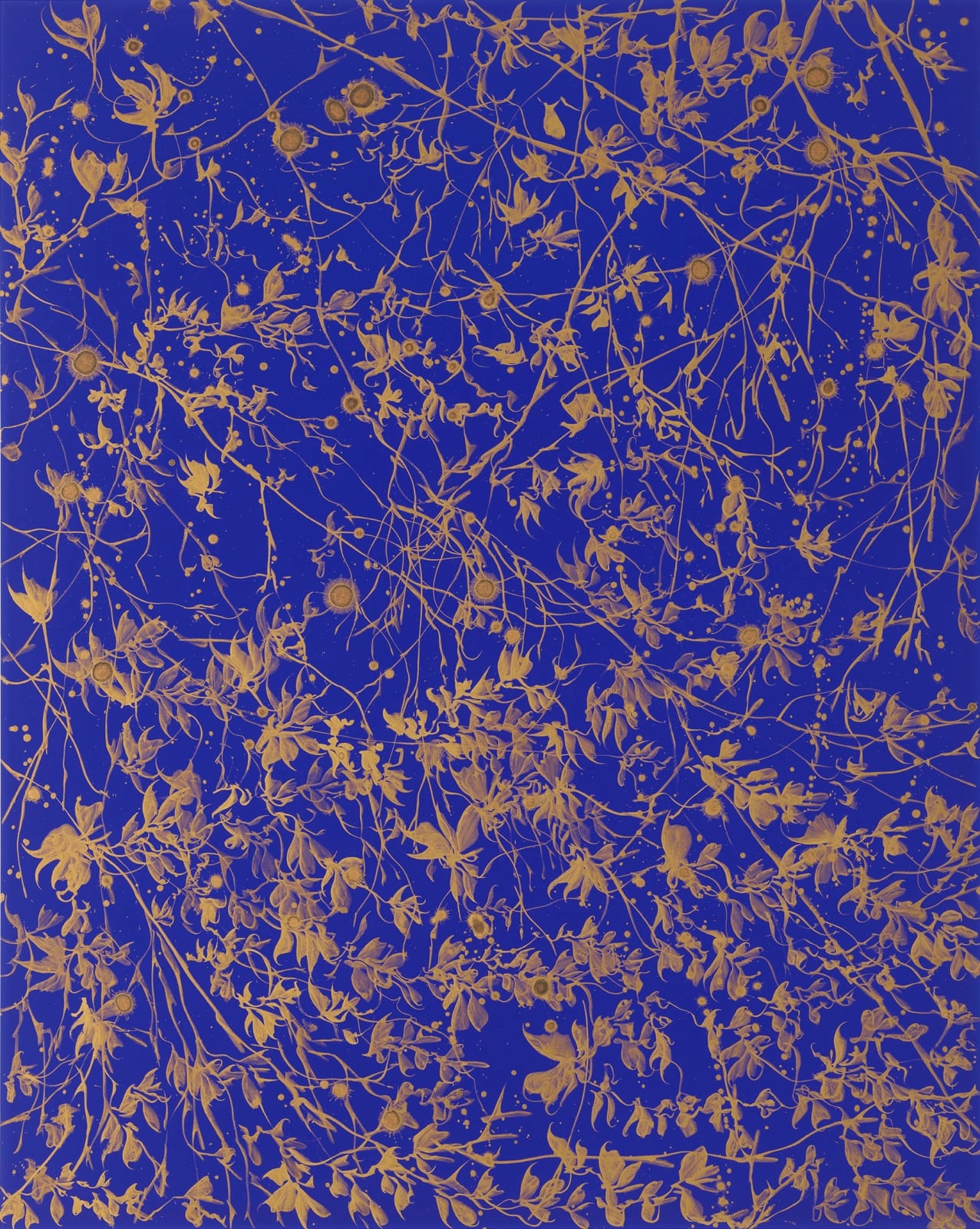 Sue Arrowsmith, The Dainty Sea, 2024