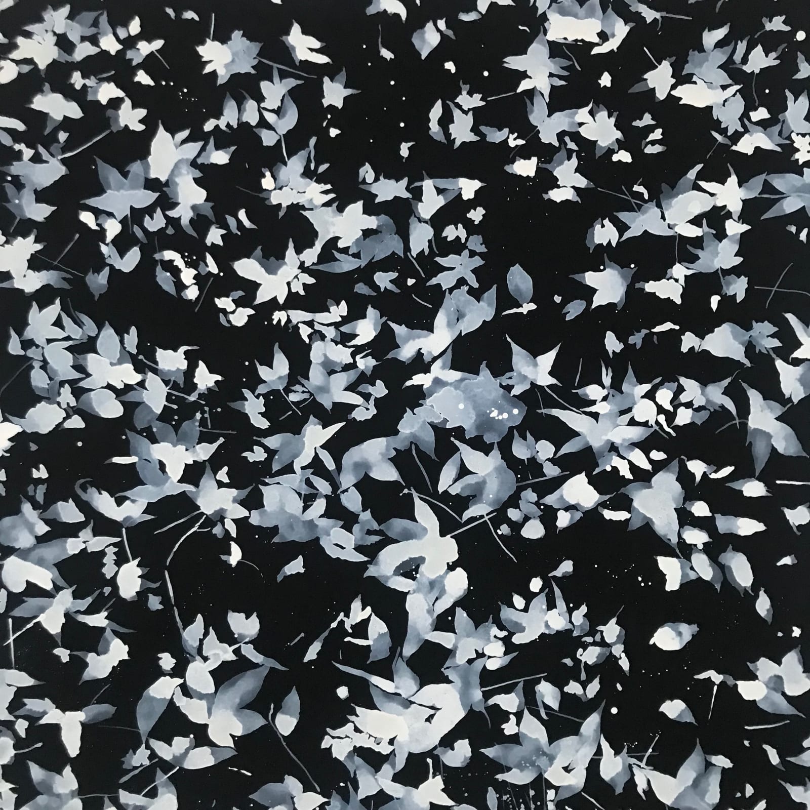Sue Arrowsmith, The stars above, 2017