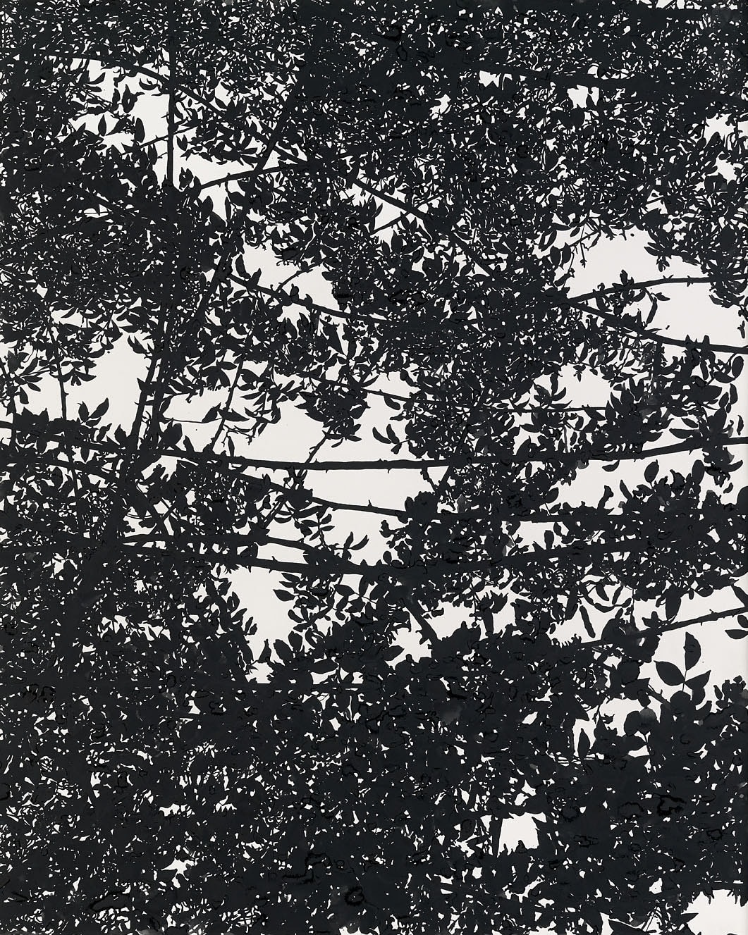 Sue Arrowsmith, The sky is burning, 2014