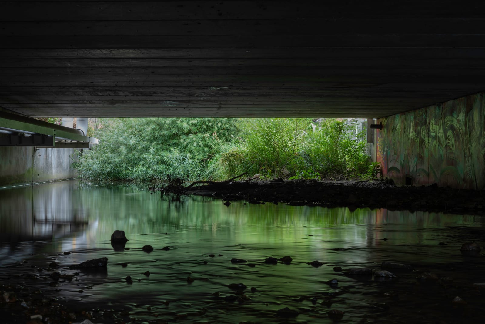 Neil Pardington, Kaiwharawhara Te Awa, Te Whanganui-a-Tara / Wellington, 2021