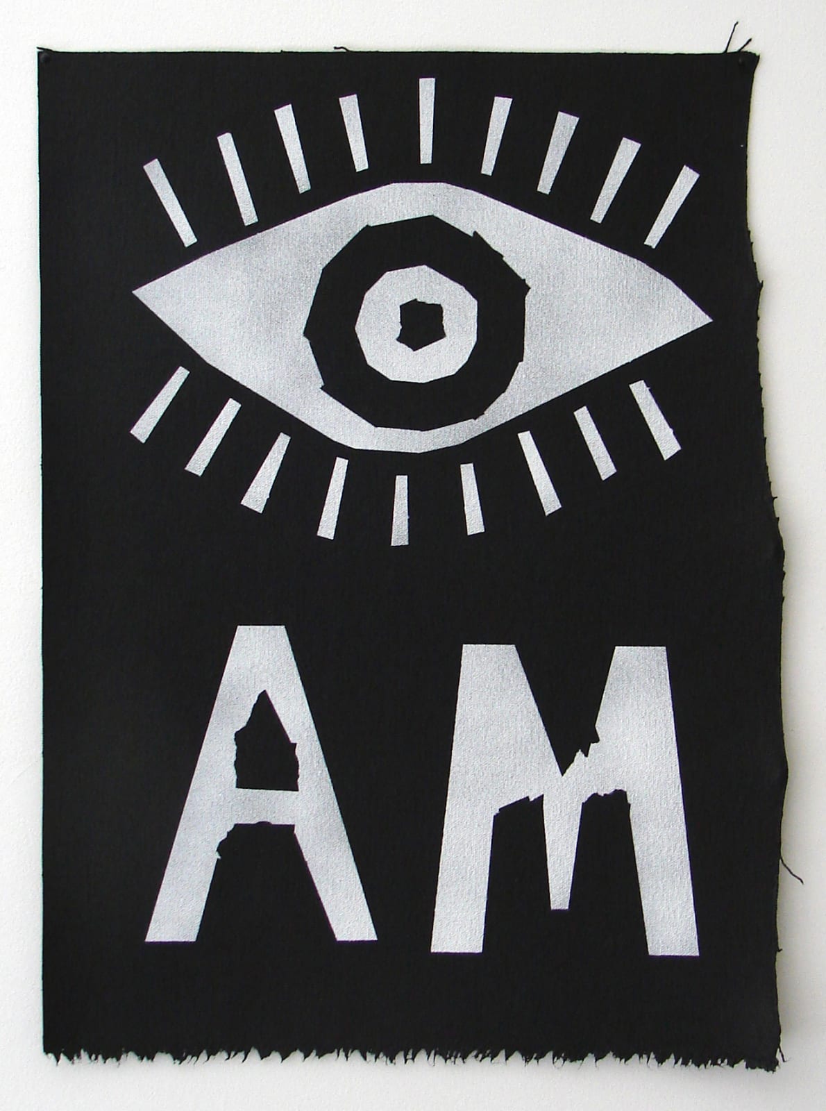 Wayne Youle, It was written, 2013