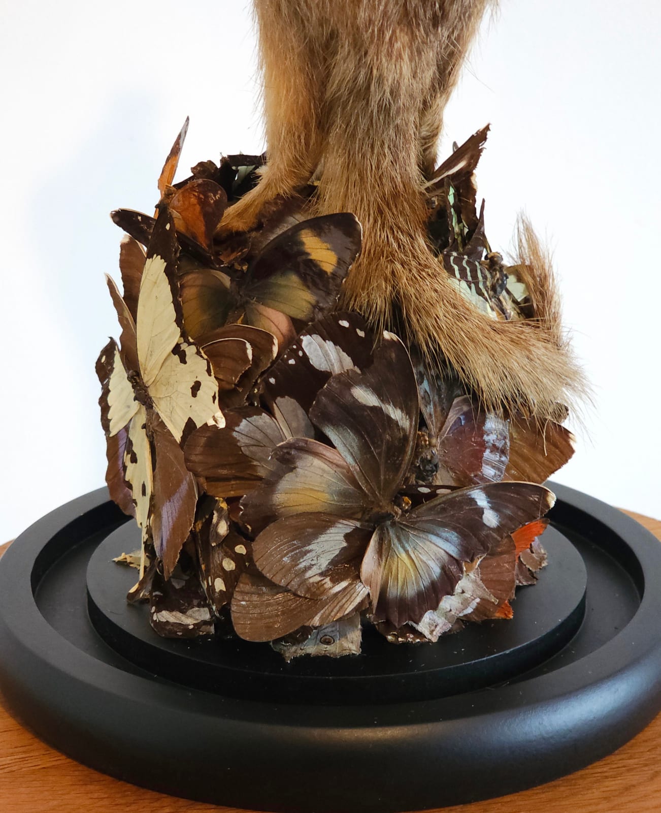 Angela Singer, Every colour brighter, 2025