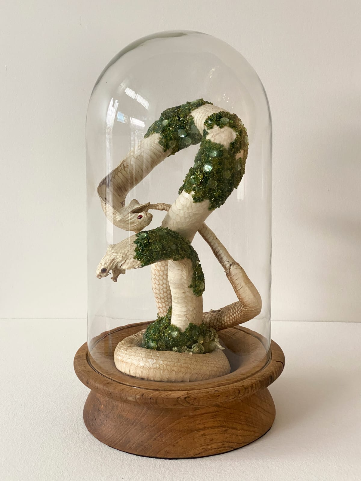 Angela Singer, Envenomed, 2022