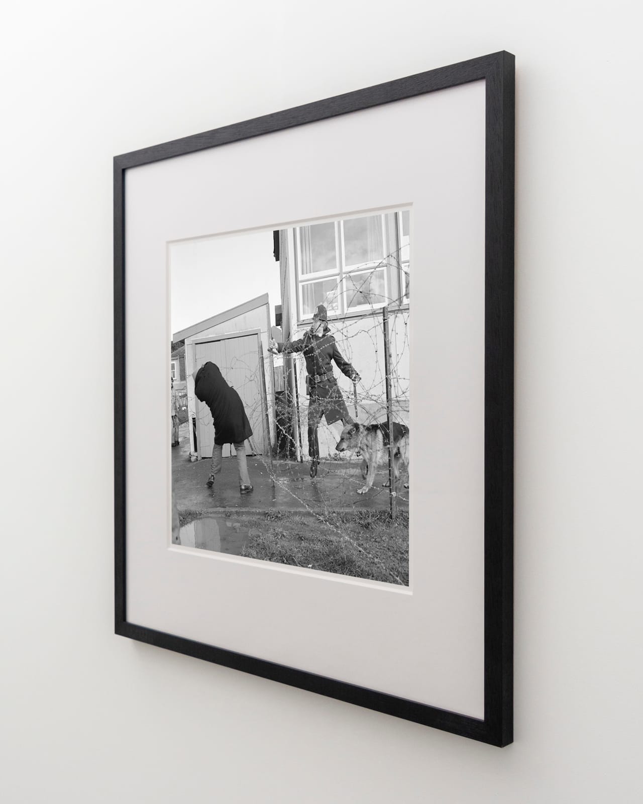 Ans Westra, Springbok Tour protests, Newtown, Wellington, 1981