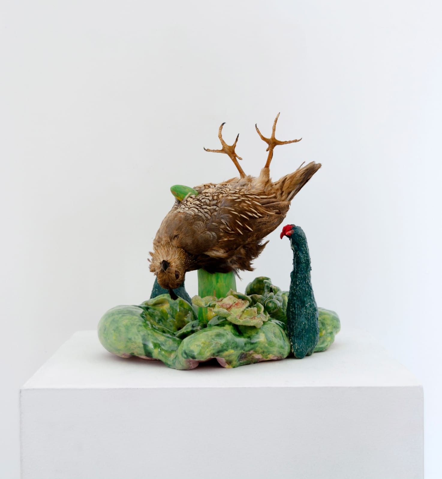 Angela Singer, Murder Mittens, 2024