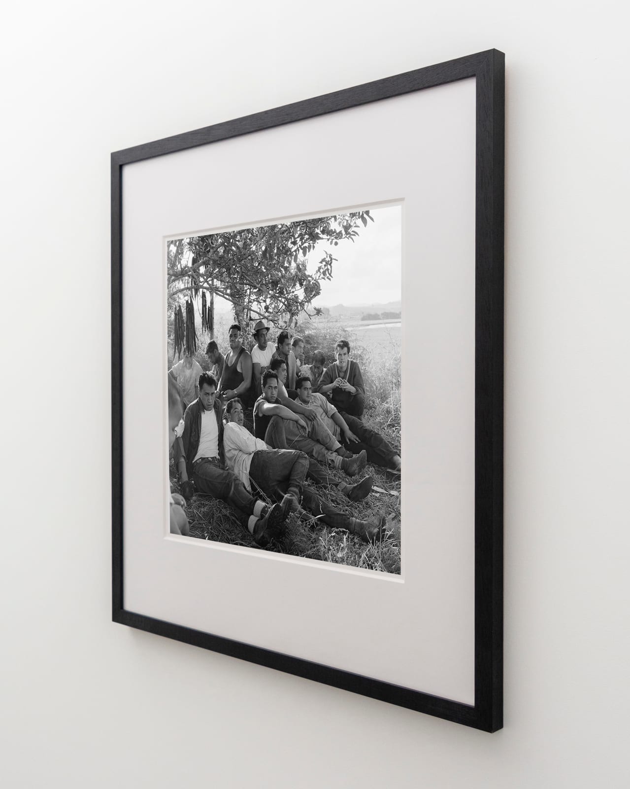 Ans Westra, Drying eels, Ringatu Meeting, Ruatoki, 1963