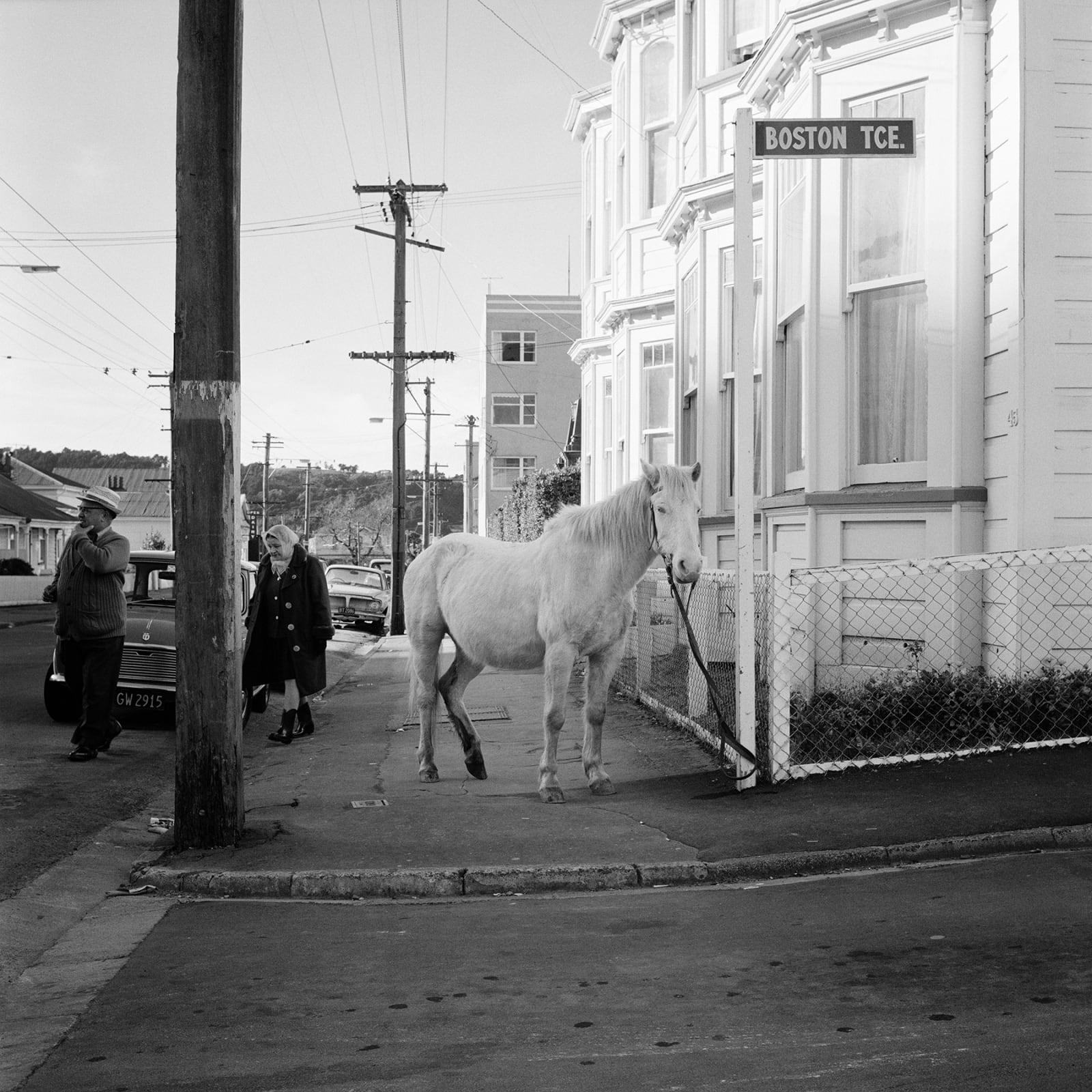 Ans Westra, Boston Terrace, Wellington, 1974