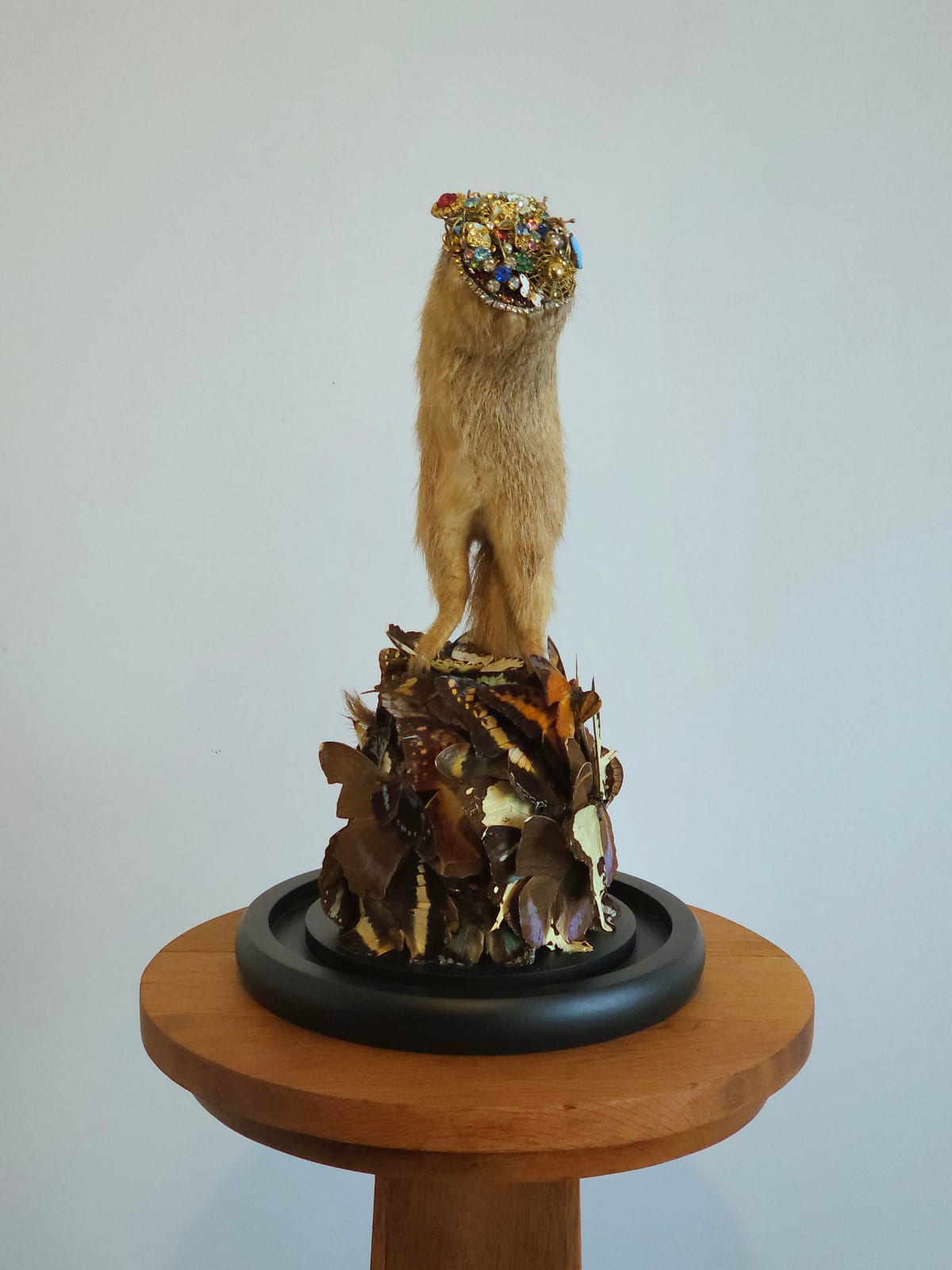 Angela Singer, Every colour brighter, 2025