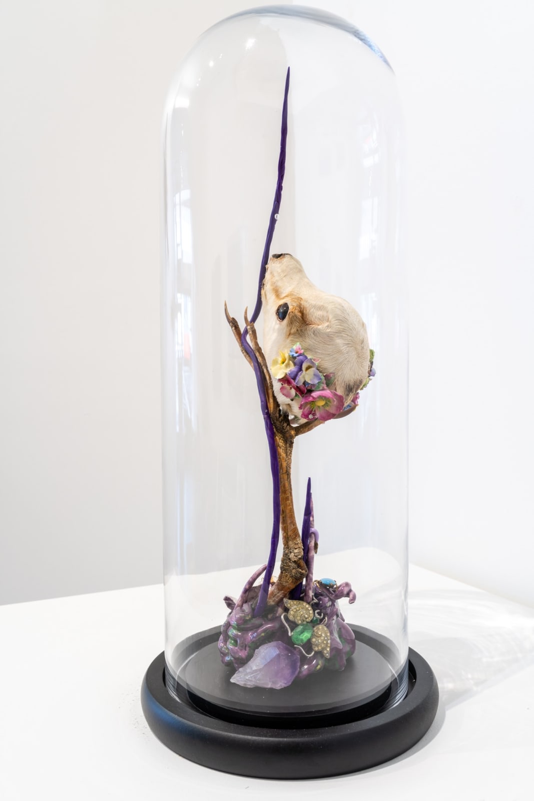 Angela Singer, May Queen, 2023