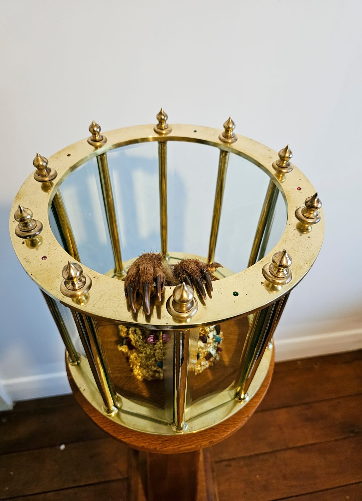 Angela Singer, Vivarium, 2025