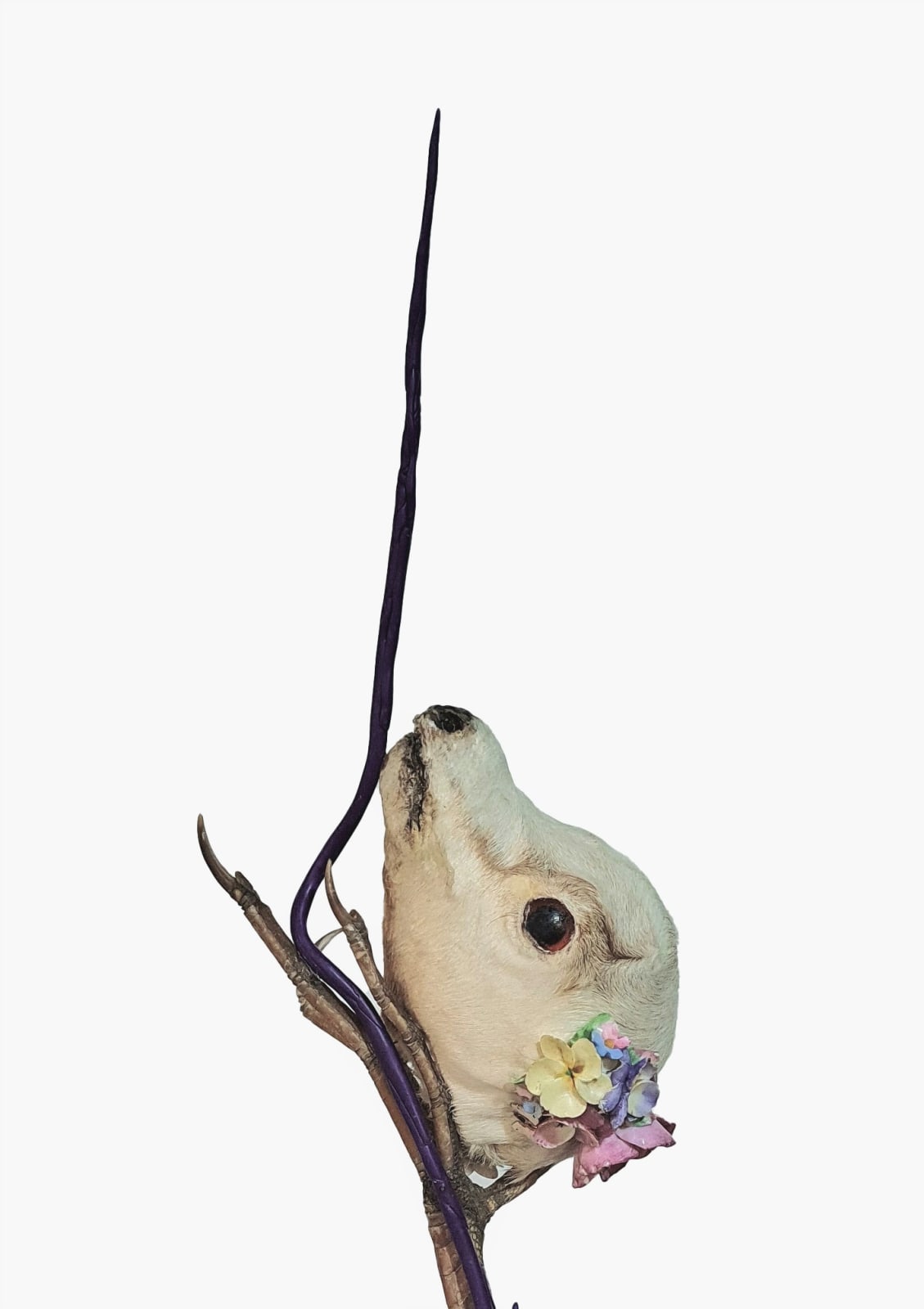 Angela Singer, May Queen, 2023