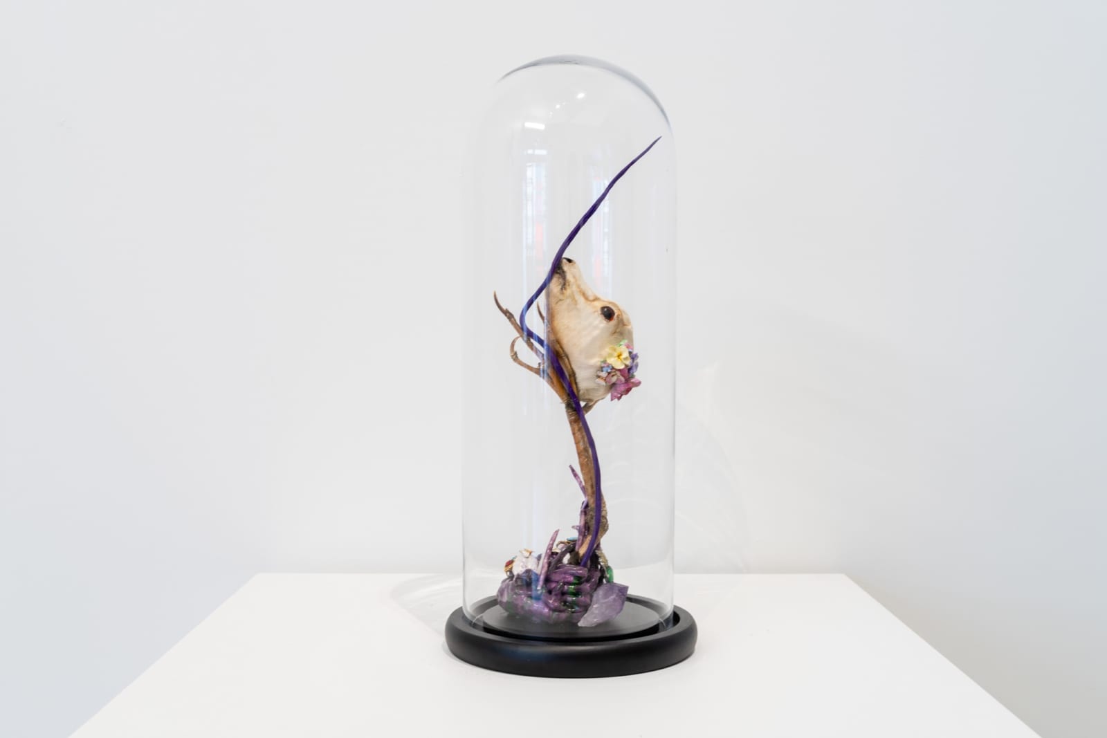 Angela Singer, May Queen, 2023