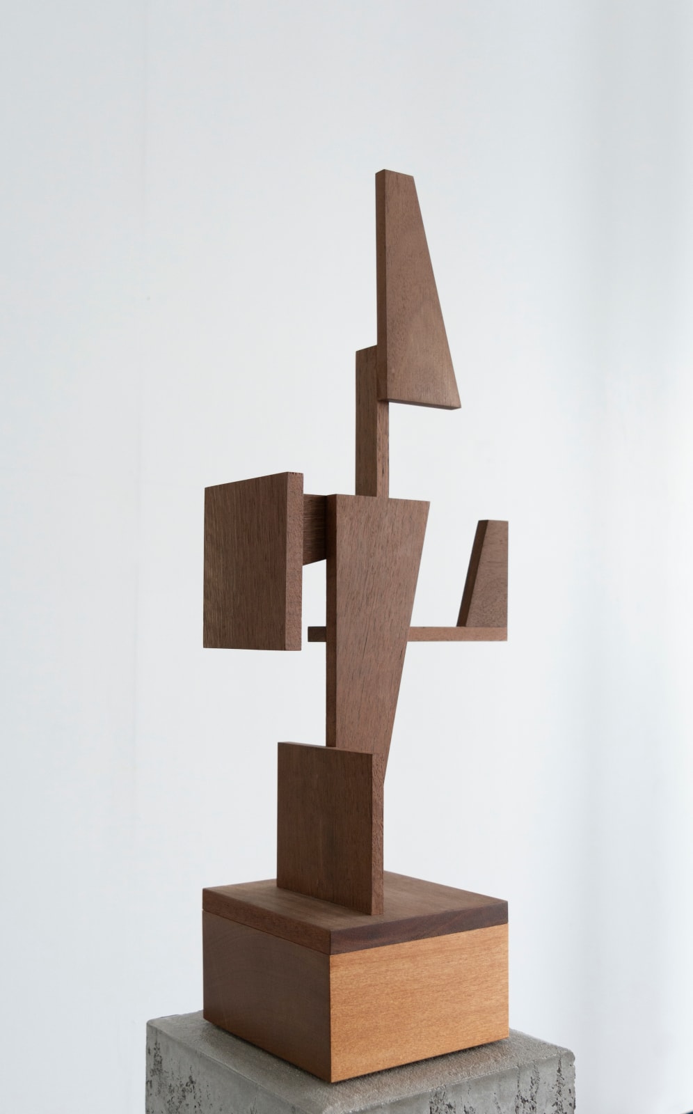 Wayne Youle, A trophy for decent contribution and creative participation, 2022