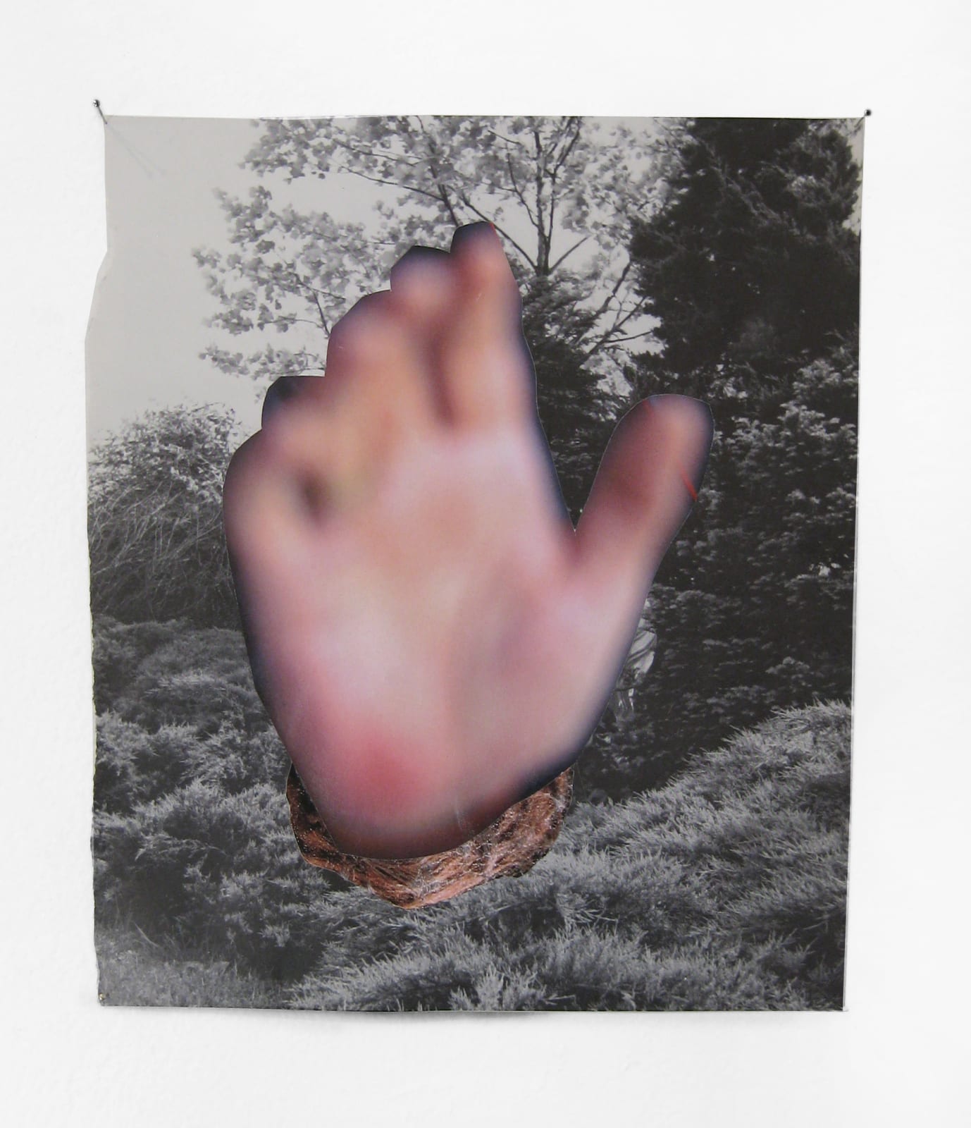 Rob Cherry, Carradine, 2014