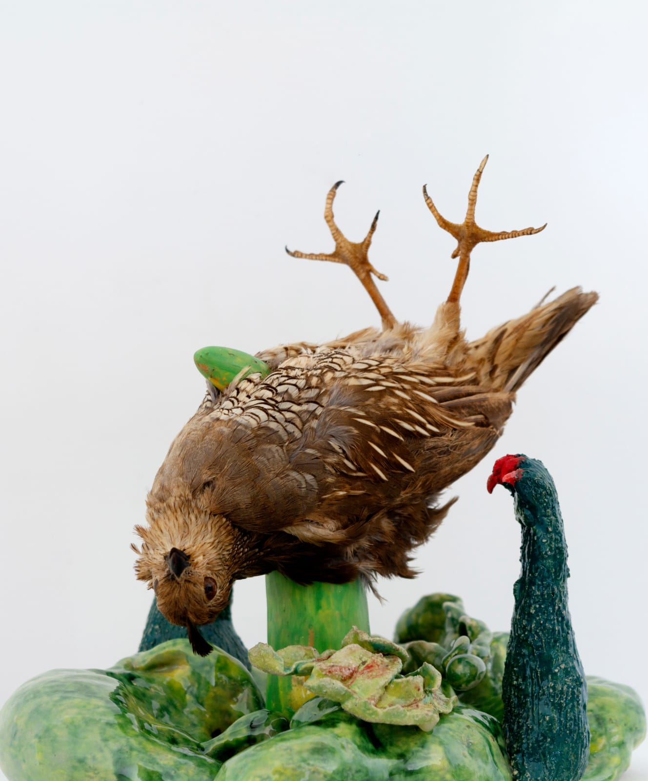 Angela Singer, Murder Mittens, 2024