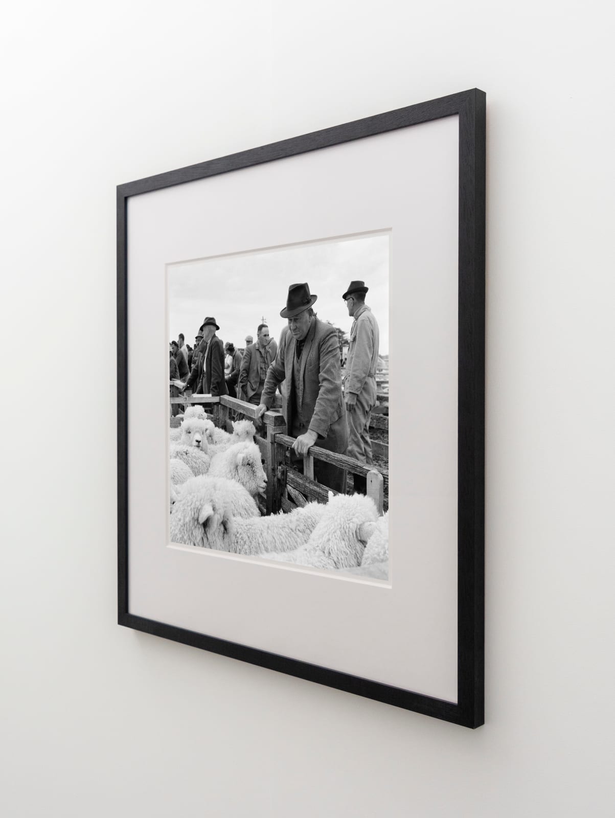 Ans Westra, Saleyards, Lorneville, Southland, 1970