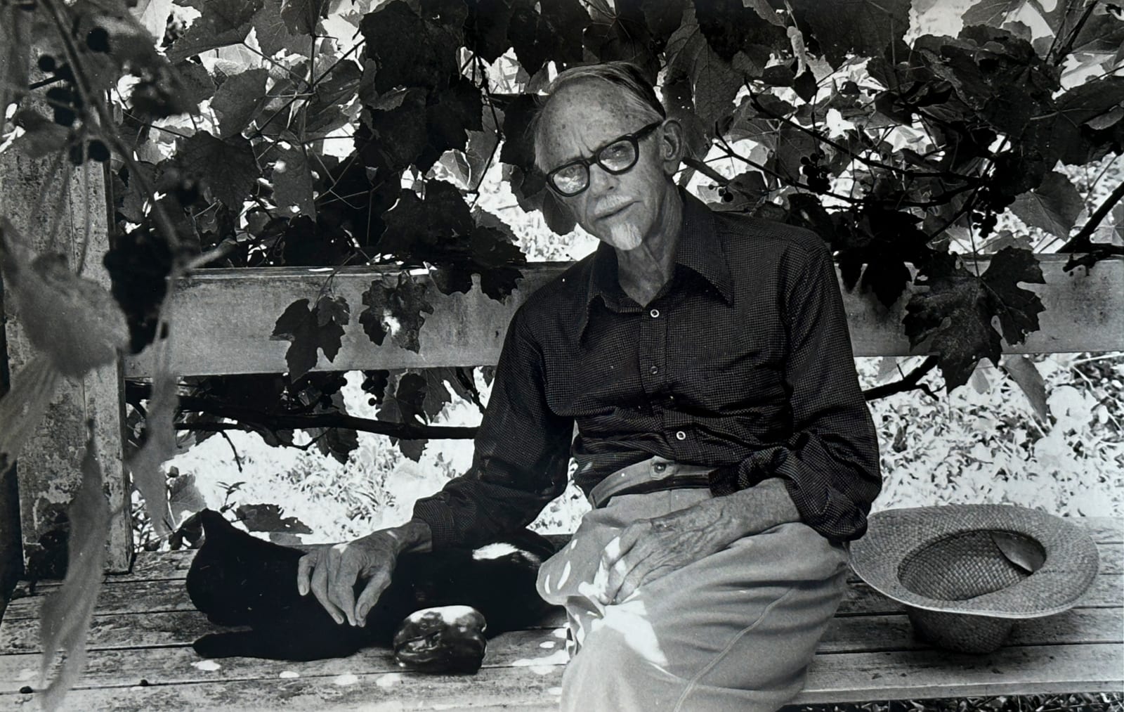 Robin Morrison, Portrait of Frank Sargeson, 1978