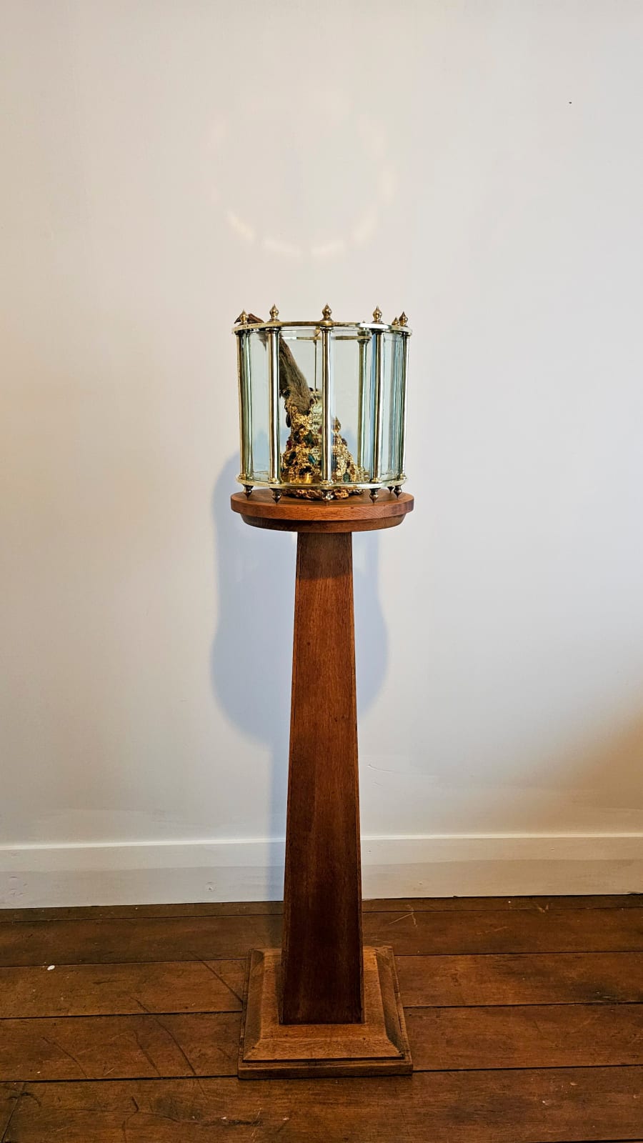 Angela Singer, Vivarium, 2025