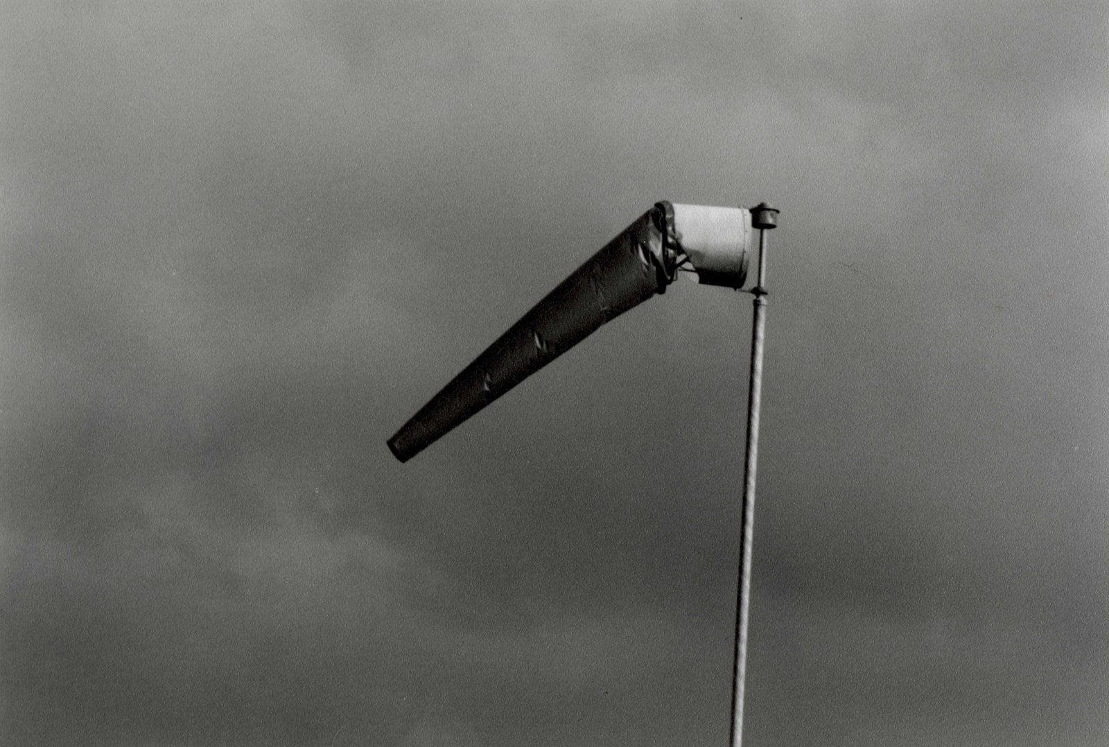 Peter Peryer, The Wind at Whenuapai, 1998