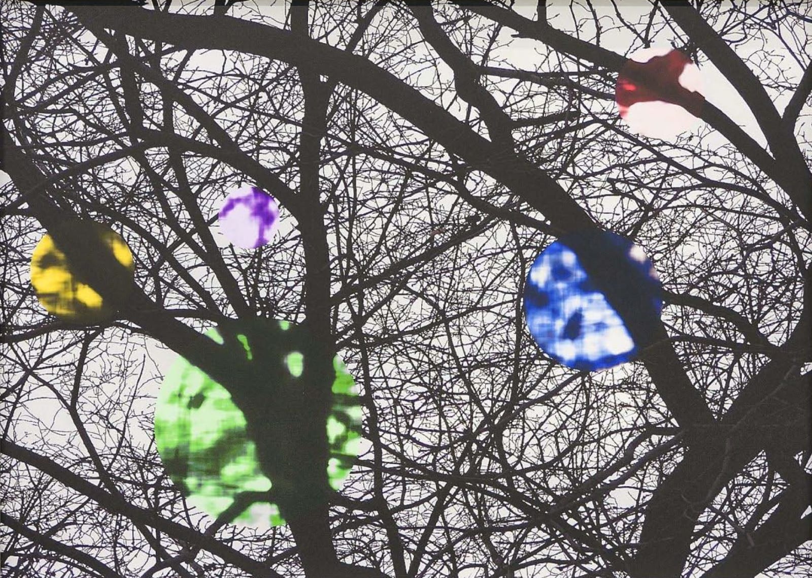 Wayne Youle, Strange Fruits (Chicago), 2009/2010