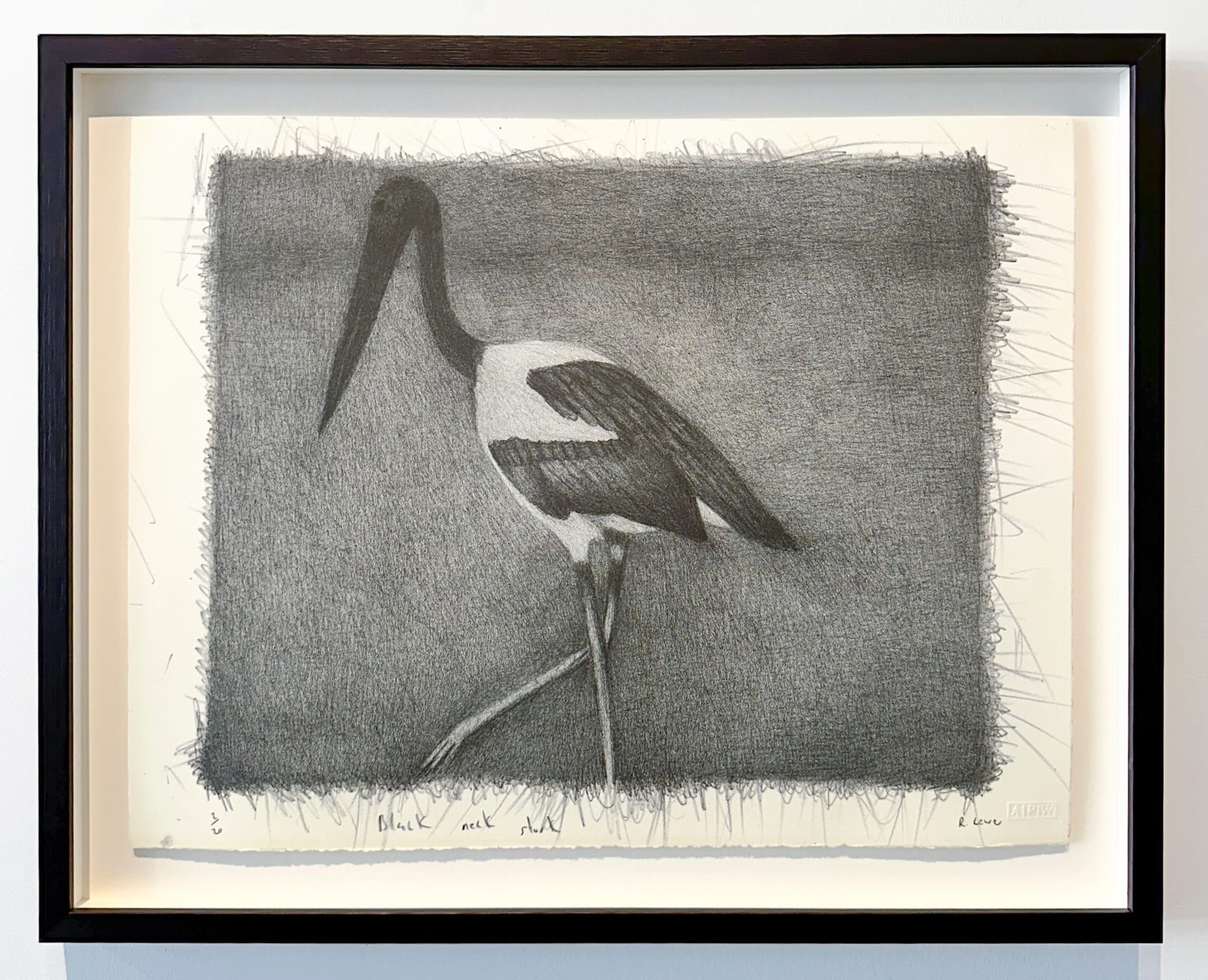 Richard Lewer, Black Neck Stork, 2024