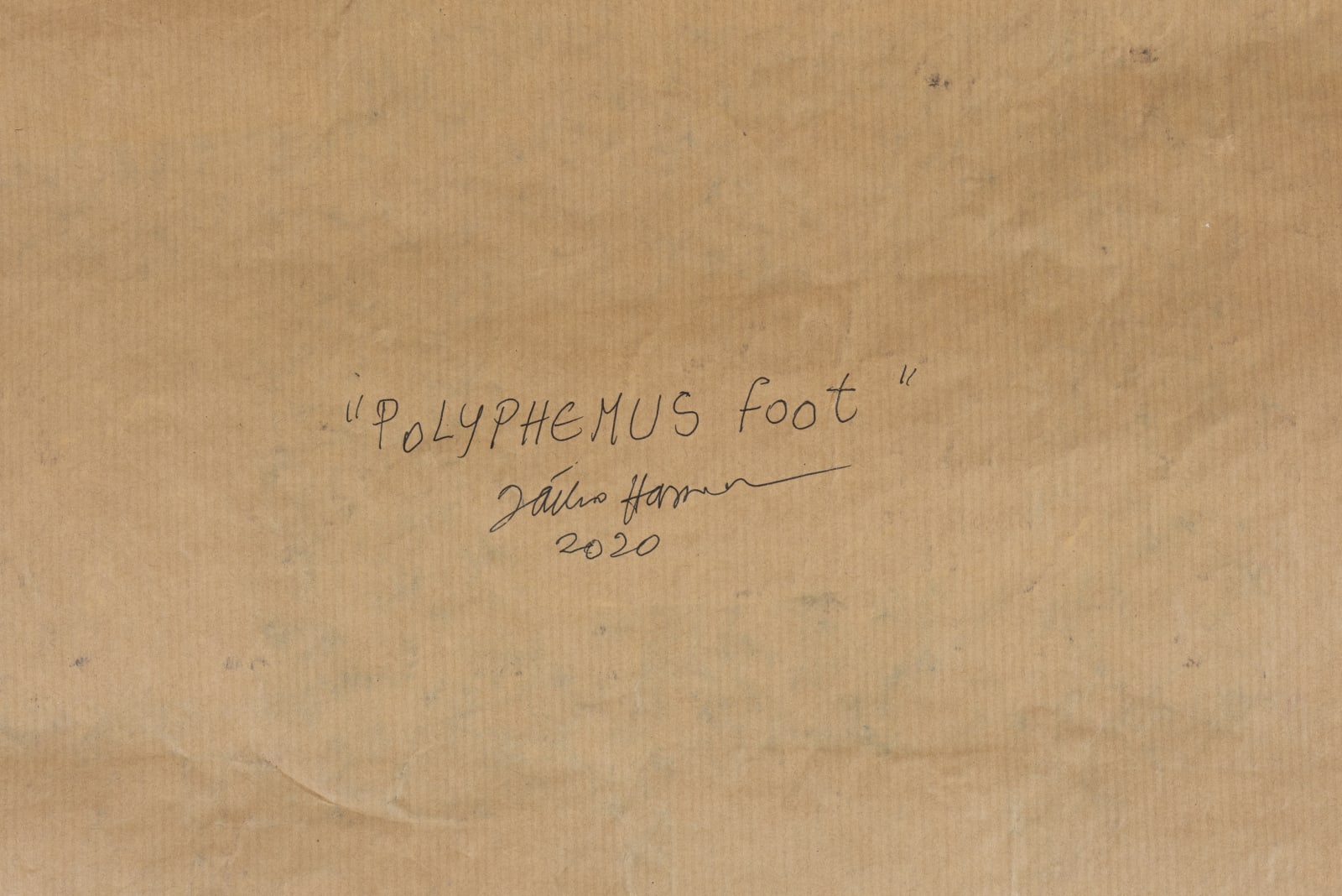 Fathi Hassan, Polyphemus Foot, 2020