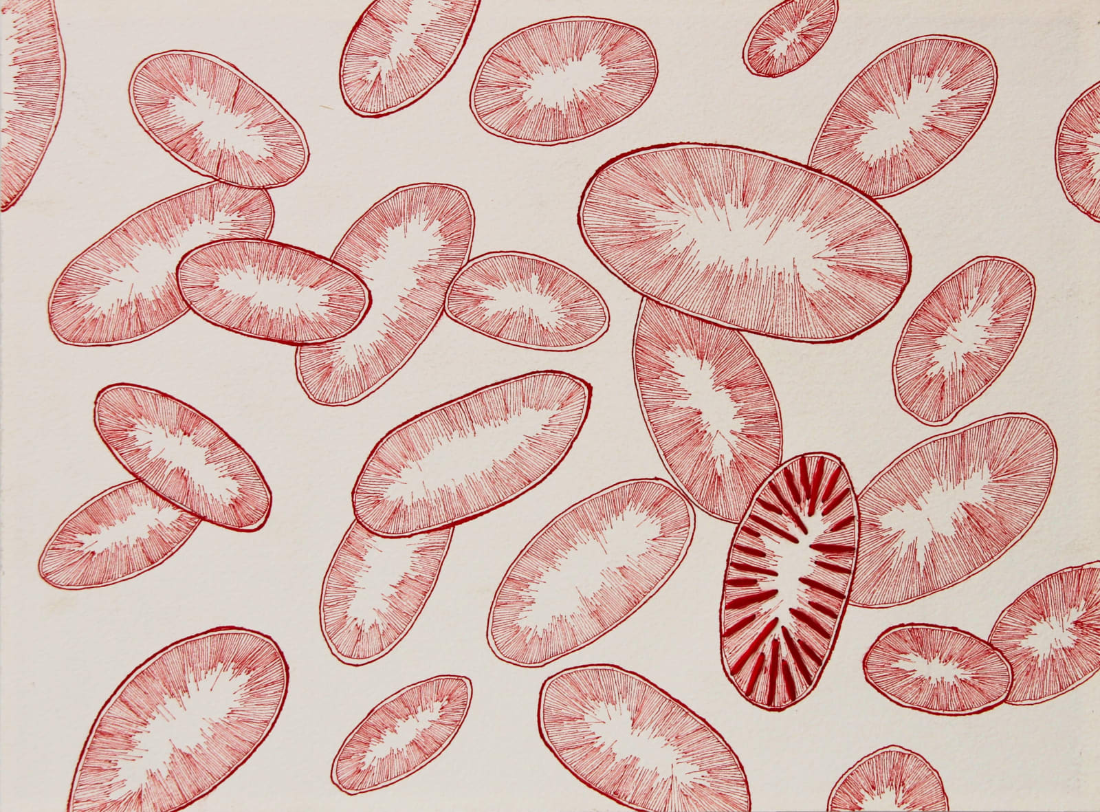 Ghizlane Sahli, Untitled I, 2019