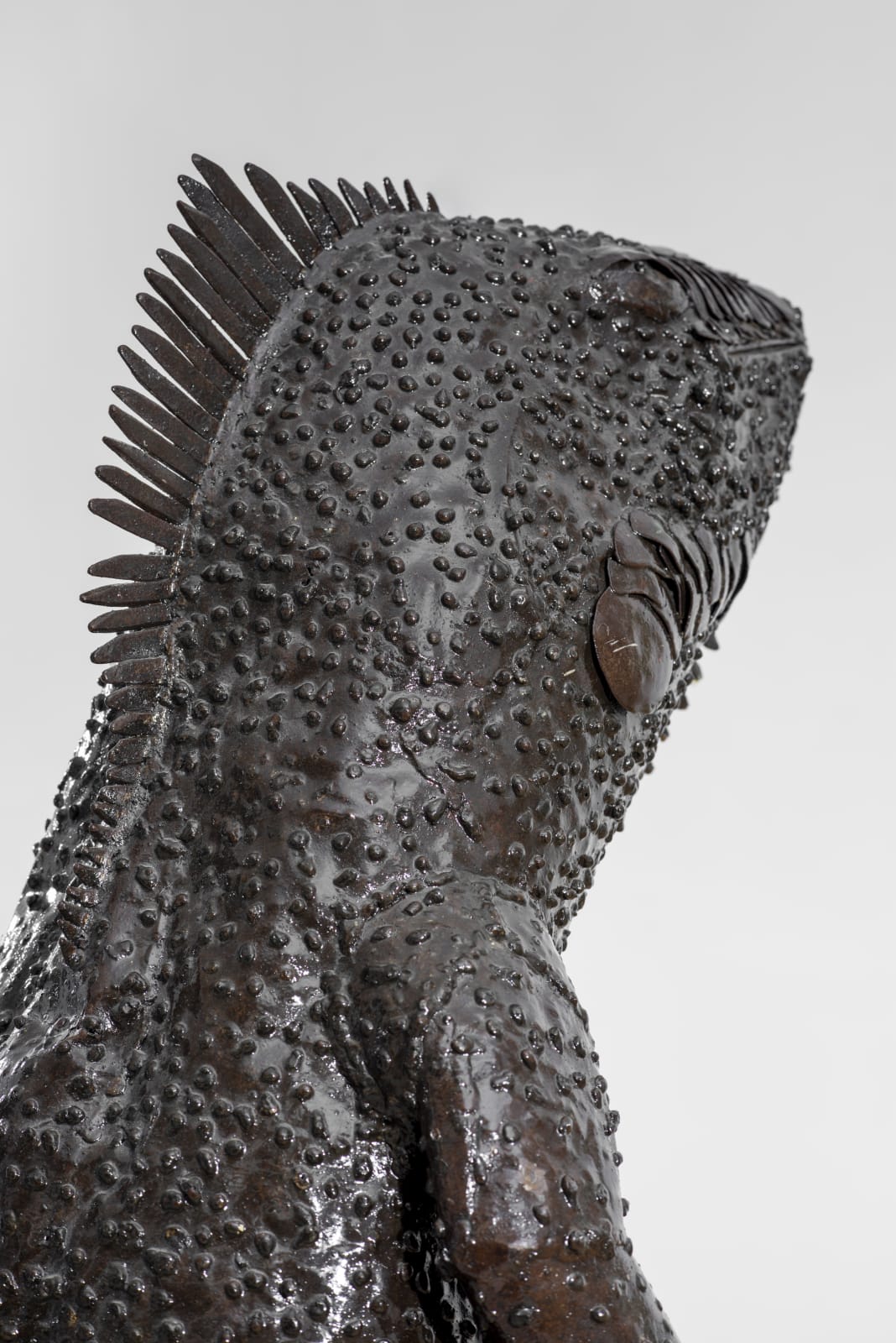Soly Cissé, Sindakh, 2013