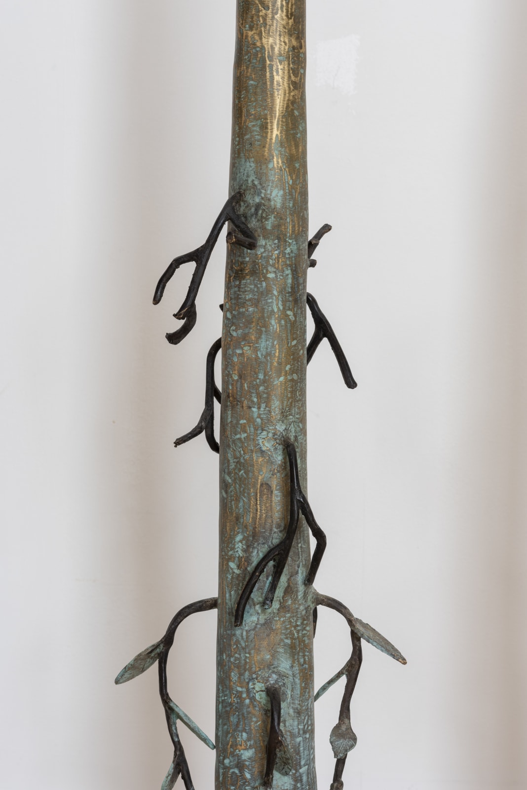 Siriki Ky, Queen of the Forest, 2020