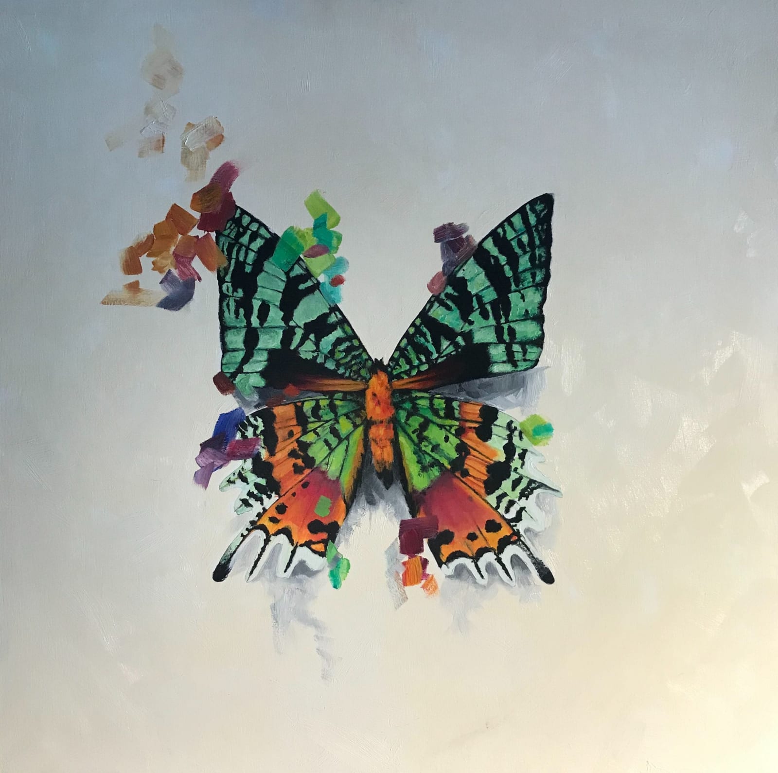 Catherine Mills, Sunset