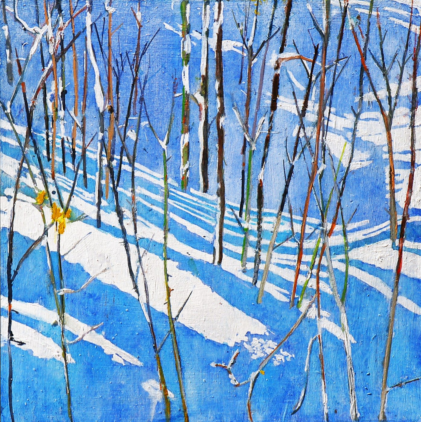 Micheal Zarowsky, sunlight streaming down the shadow side of winter