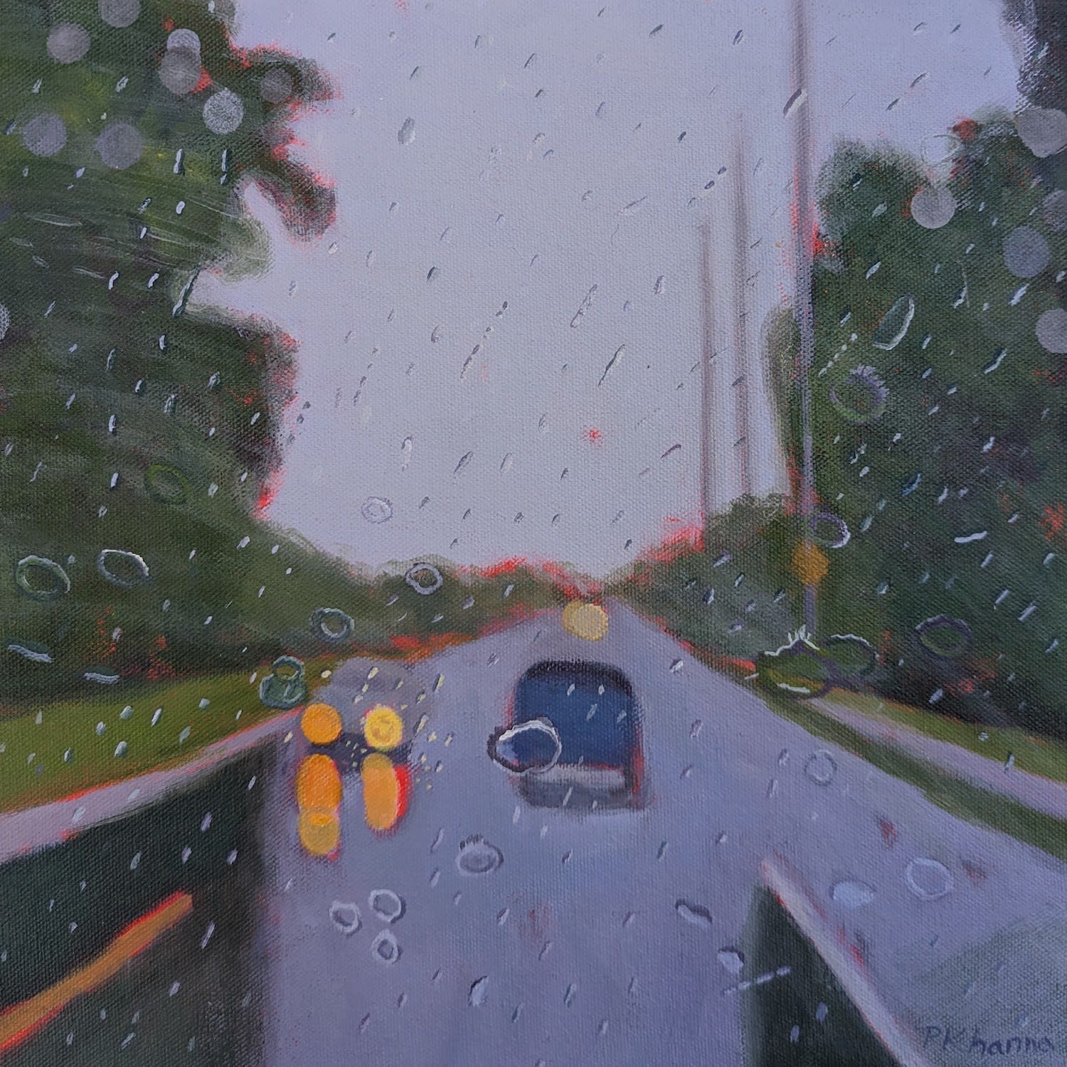 Poonam Khanna, Sudden Downpour 2