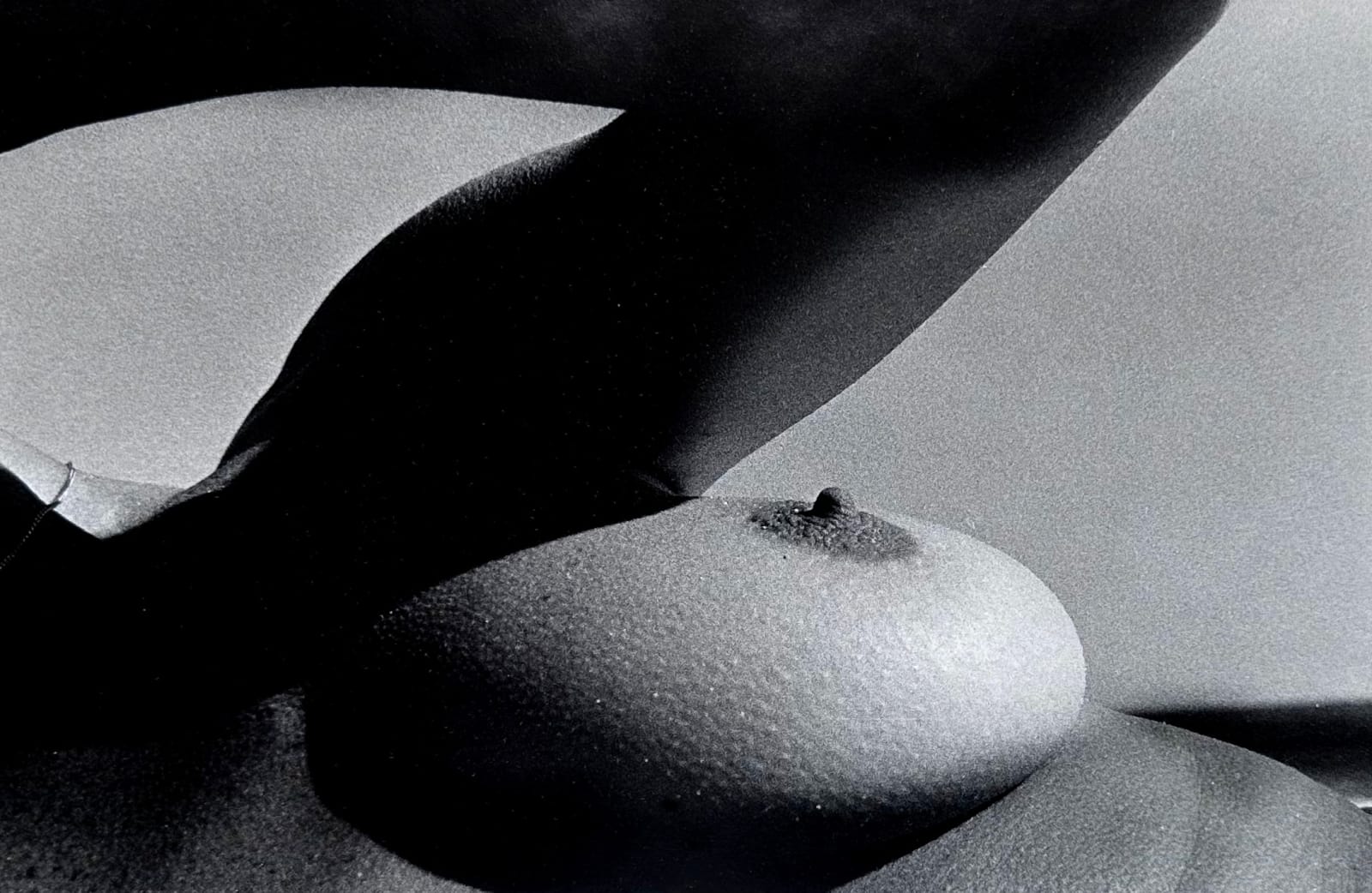 Ralph Gibson, Untitled, from "In Silk", 1978