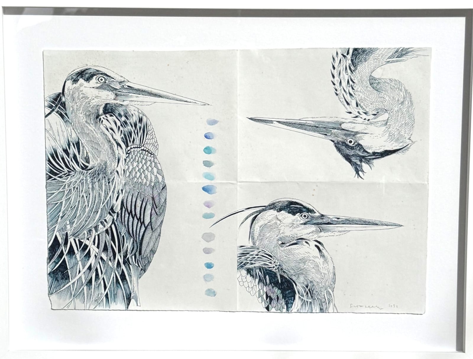 Scott Kelley, From of Book of Herons, 2025