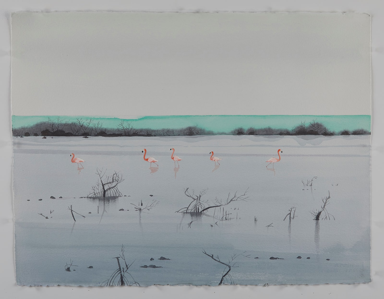 Scott Kelley, Lake Rosa, Inagua, 2020