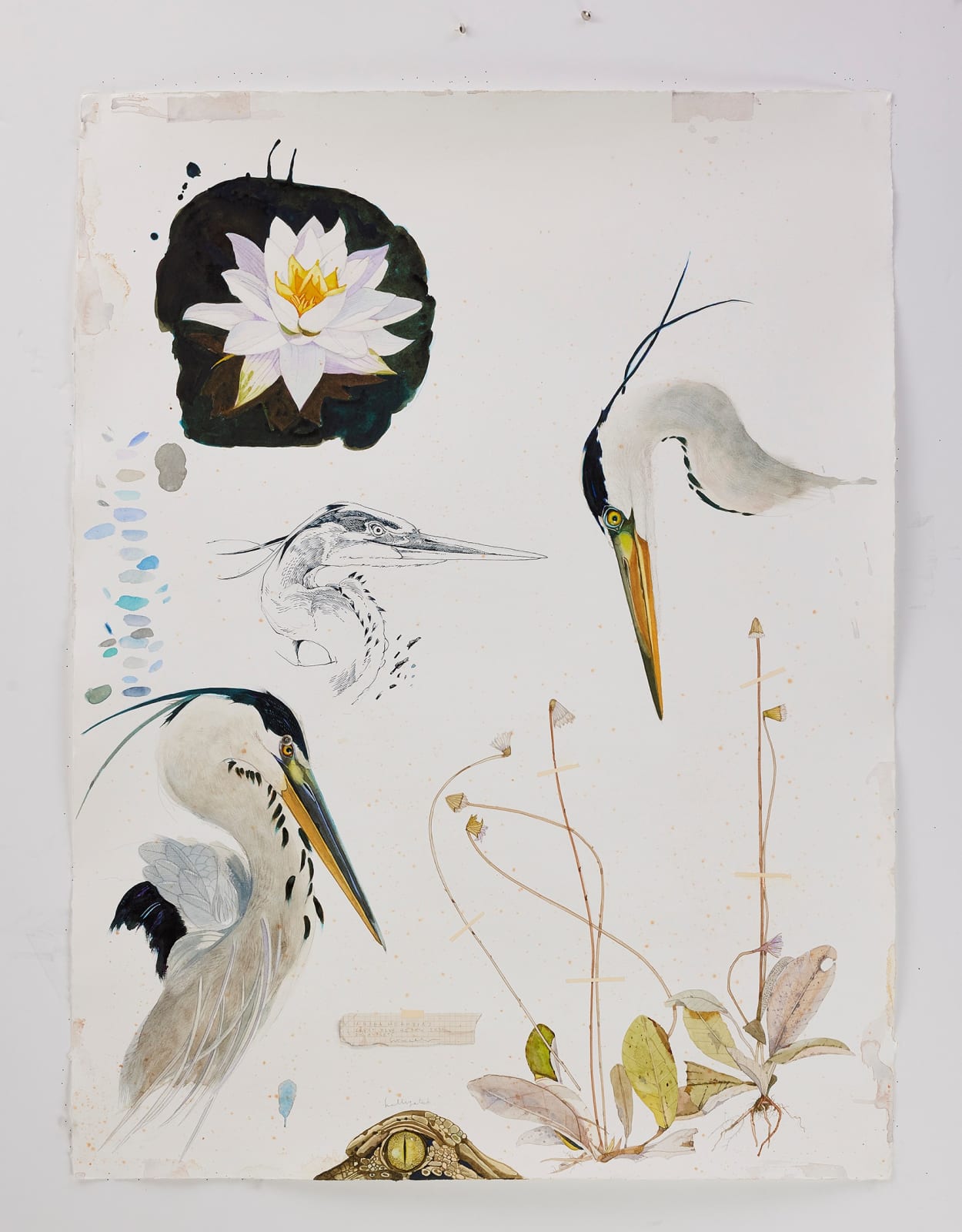 Scott Kelley, UPSIDAISIUM - Great Blue Heron, 2025