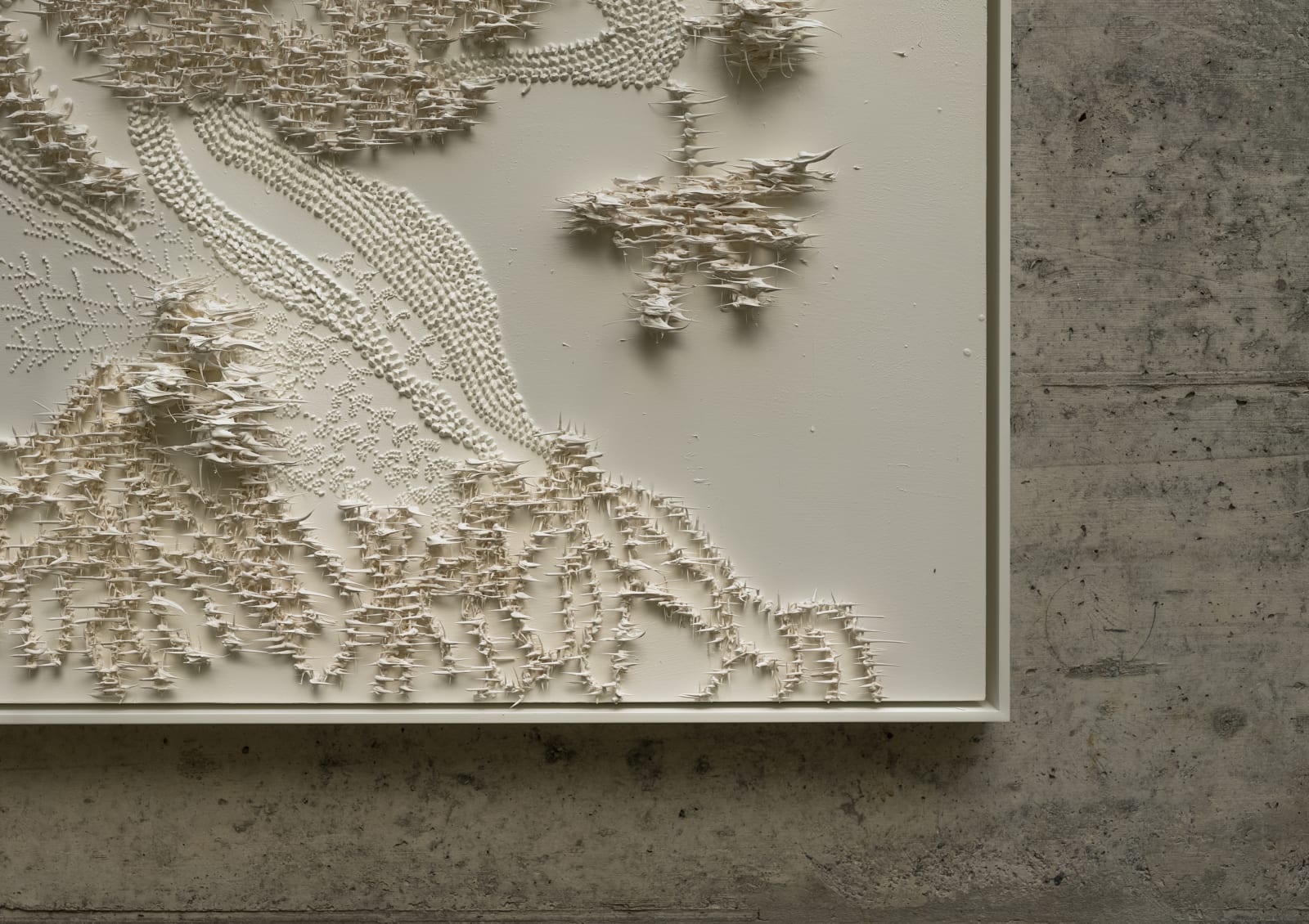 Susana Anaya, Tree of life II, 2025
