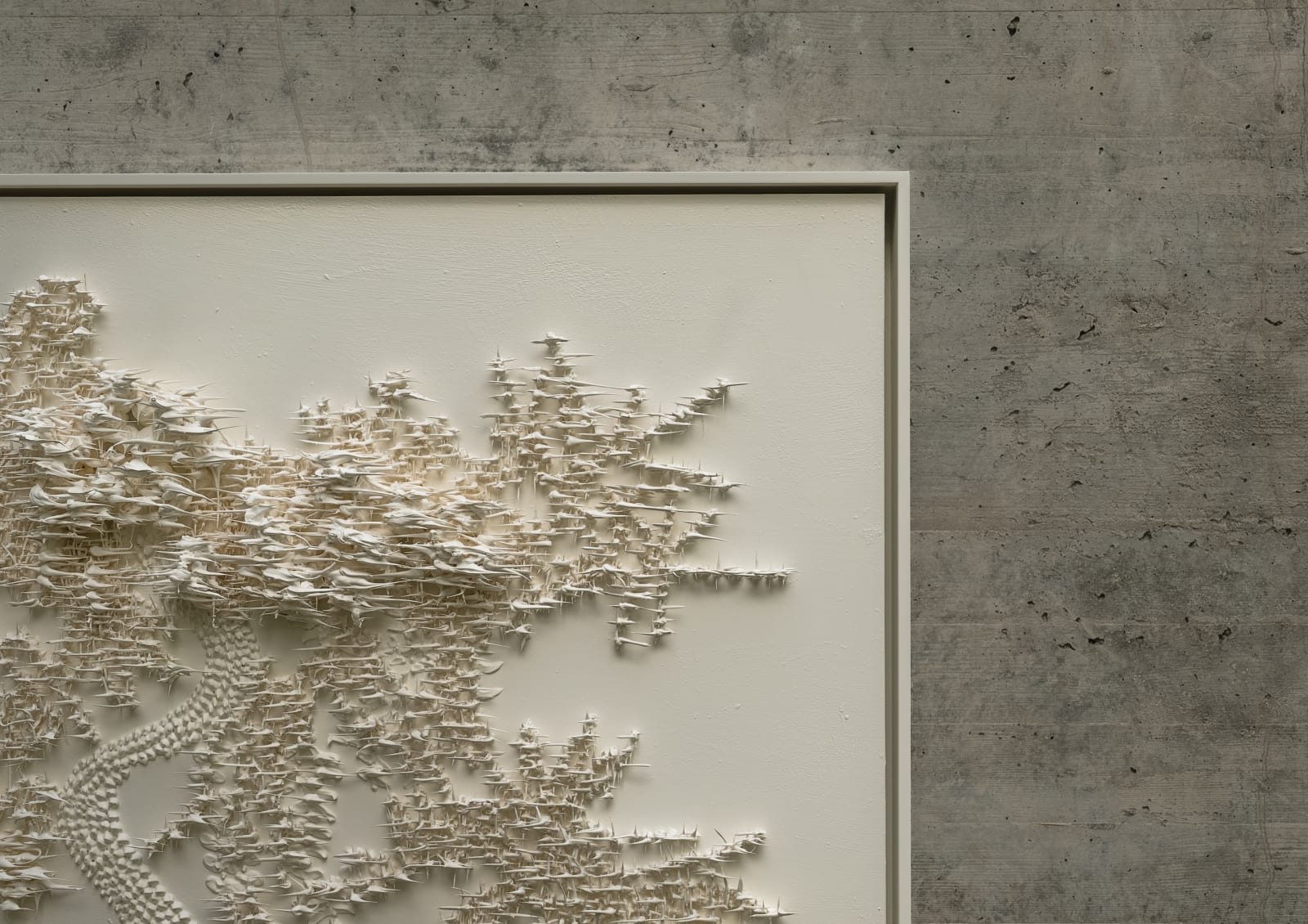 Susana Anaya, Tree of life II, 2025