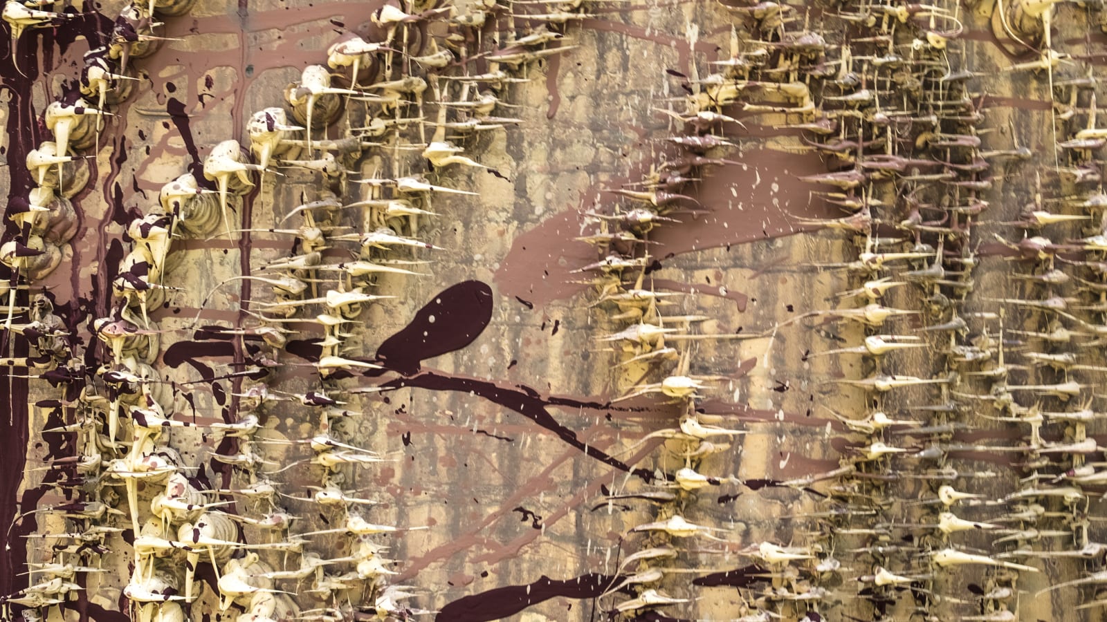 Susana Anaya, Landscapes VI, 2025
