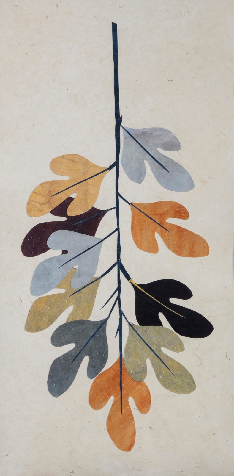 Birthing a New Sky: Sassafras