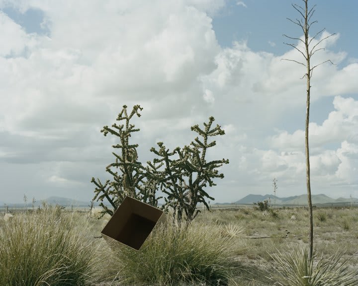 Landscape with an open cardboard box sitting in the foreground