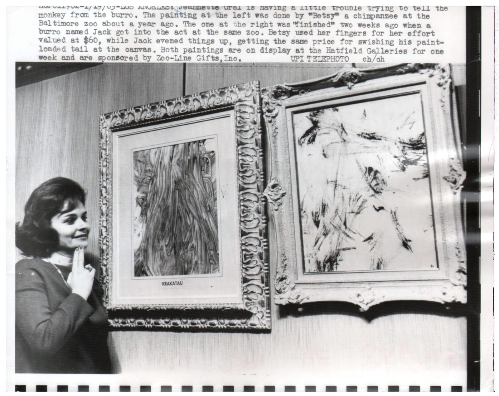 Black and white photograph of a woman looking at two framed paintings, one by a chimpanzee and one by a donkey, with explanatory text above