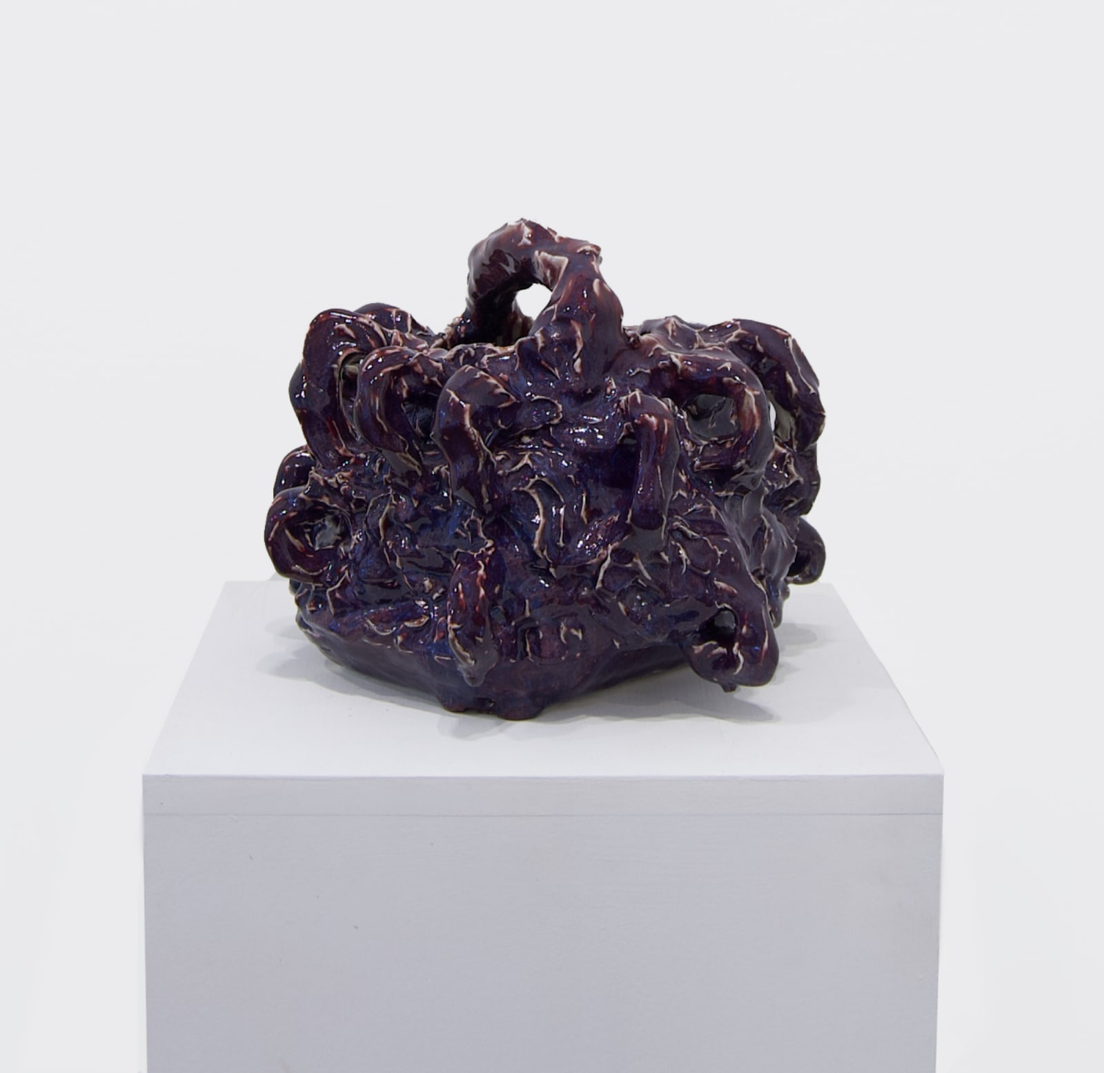 Dark purple pot with handles covering the vessel