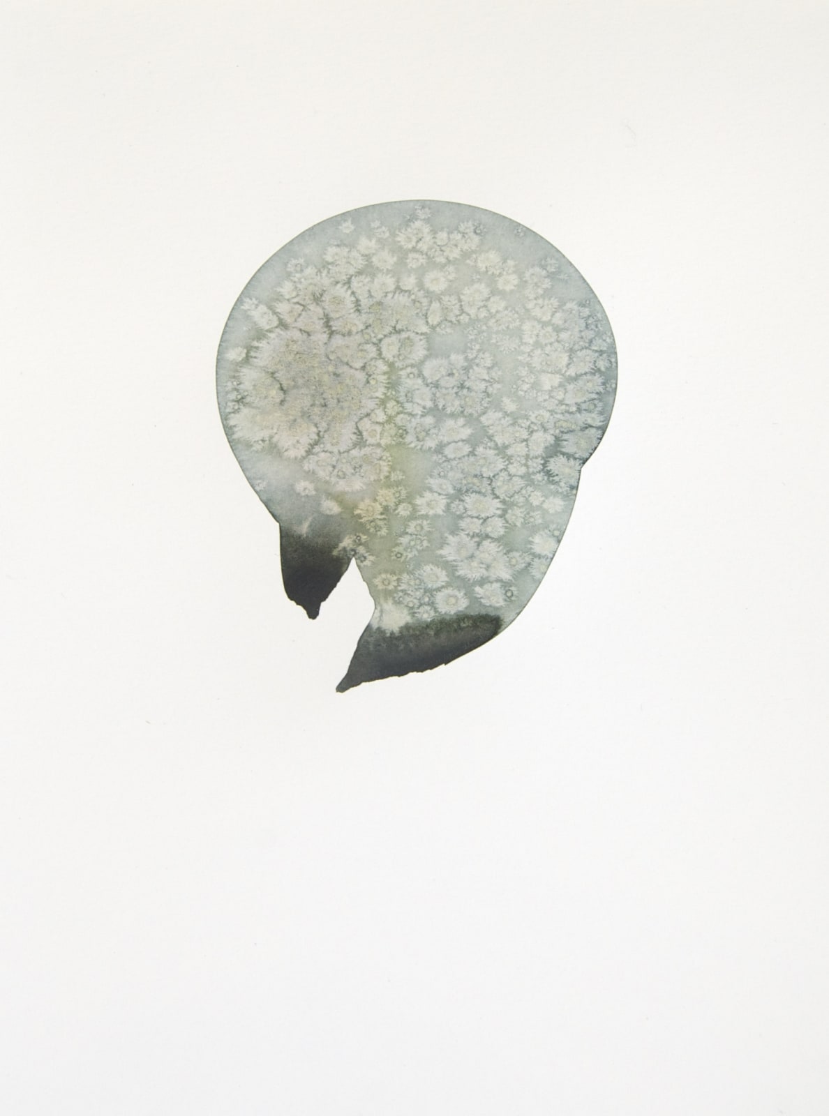 The Grey Series VII