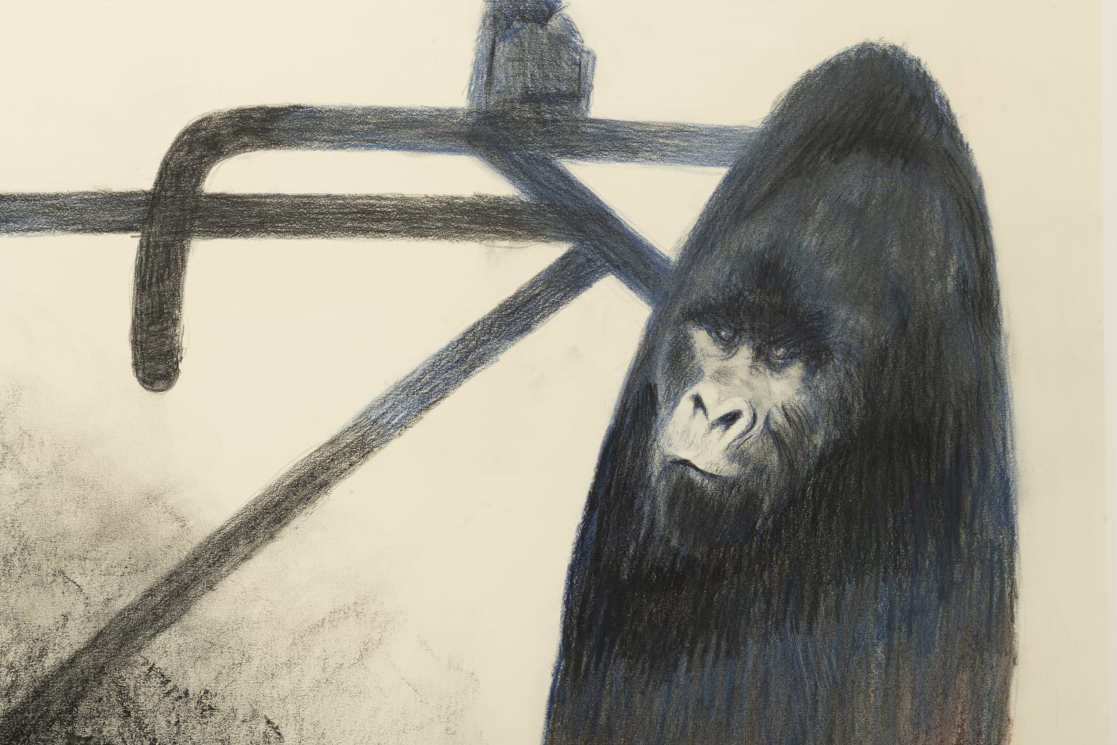 A rendering of a bicycle with portraits of gorillas contained in its wheels