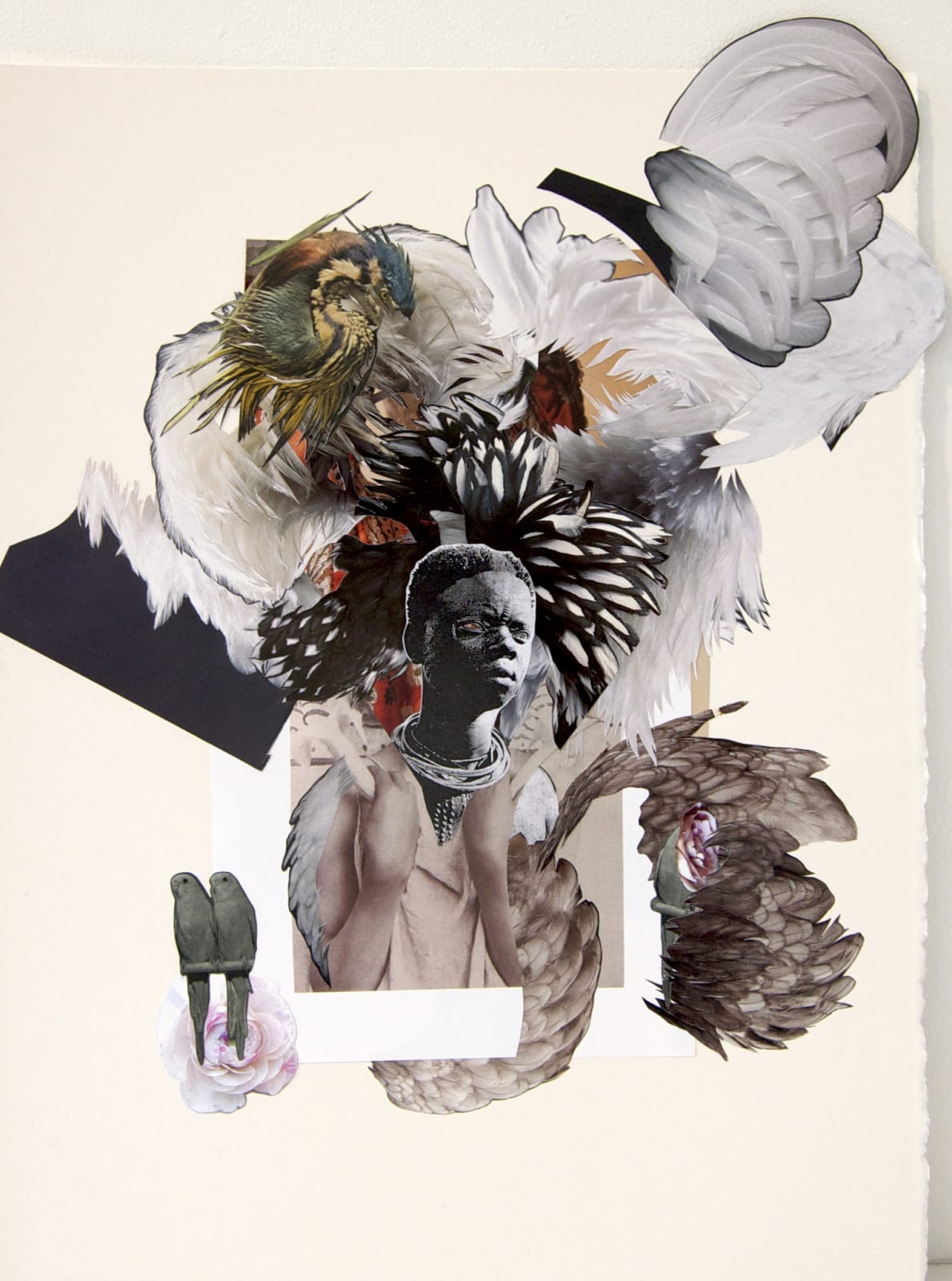 Collage featuring head cut from ethnographic publications, feathers, two birds