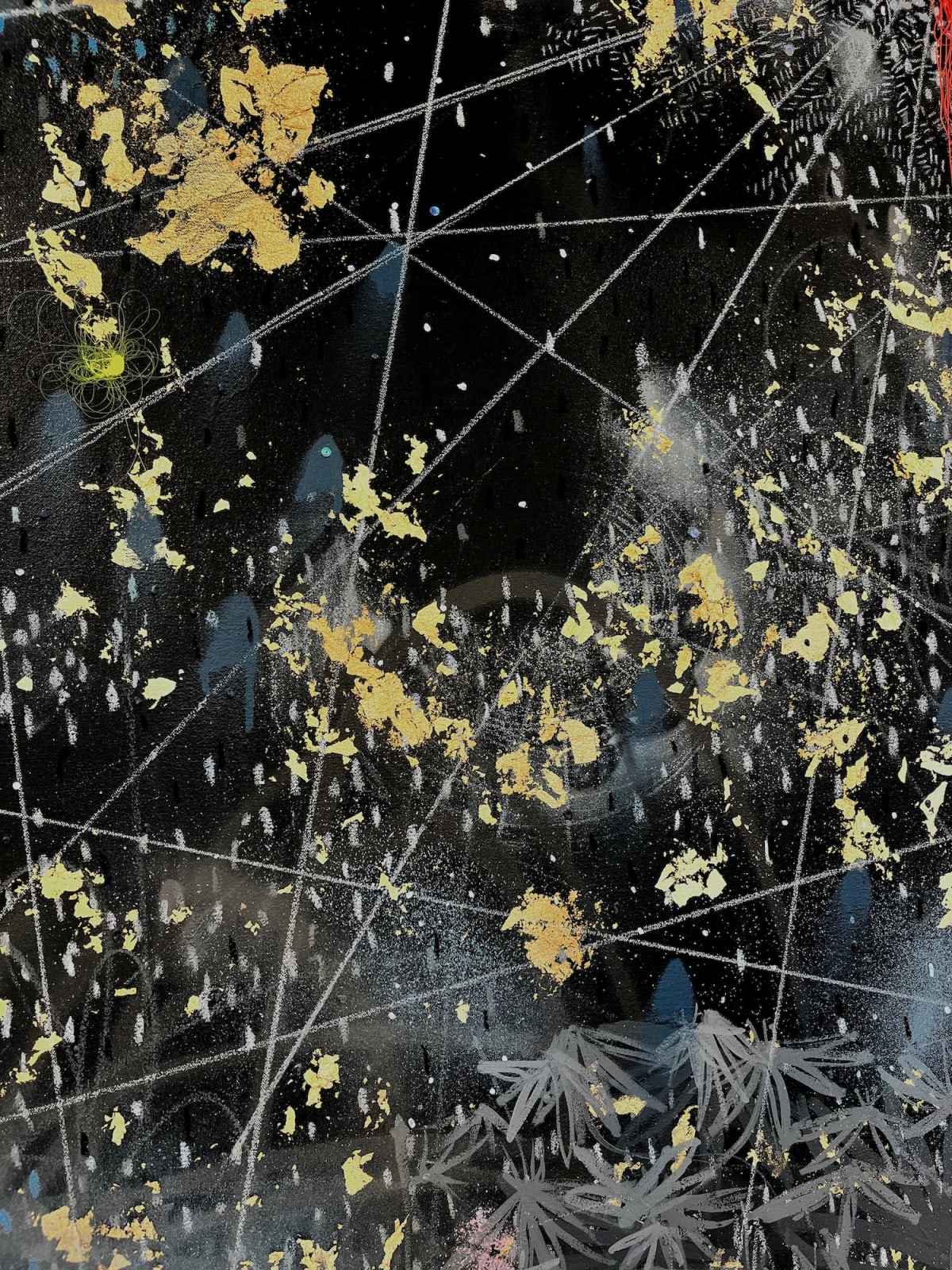 Close-up of a dark landscape depicting water, plants, and a night sky with cartographic lines in the top register