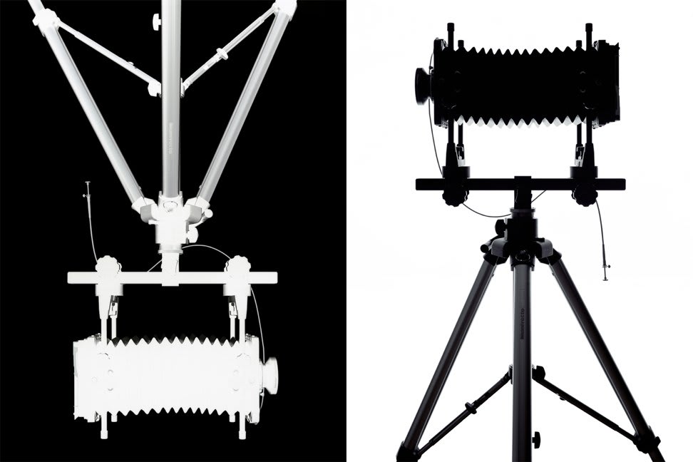SARAH CHARLESWORTH, Camera Work, 2009