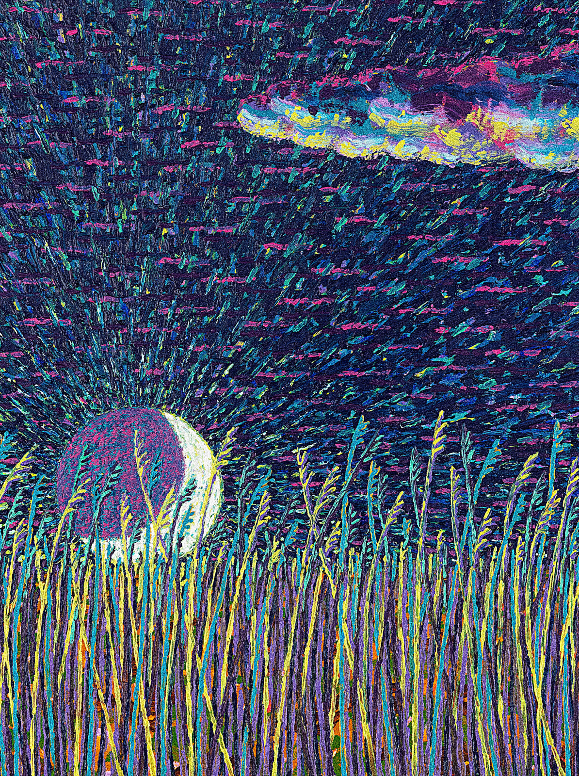 a cloud, a moon, and grass